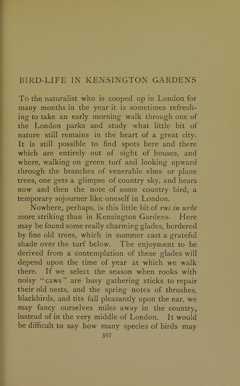 BIRD-LIFE IN KENSINGTON GARDENS To the naturalist who is cooped up in London for many months in the year it is sometimes refresh- ing to take an early morning walk through one of the London parks and study what little bit of nature still remains in the heart of a great city. It is still possible to find spots here and there which are entirely out of sight of houses, and where, walking on green turf and looking upward through the branches of venerable elms or plane trees, one gets a glimpse of country sky, and hears now and then the note of some country bird, a temporary sojourner like oneself in London. Nowhere, perhaps, is this little bit of mis in urbe more striking than in Kensington Gardens. Here may be found some really charming glades, bordered by fine old trees, which in summer cast a grateful shade over the turf below. The enjoyment to be derived from a contemplation of these glades will depend upon the time of year at which we walk there. If we select the season when rooks with noisy “caws” are busy gathering sticks to repair their old nests, and the spring notes of thrushes, blackbirds, and tits fall pleasantly upon the ear, we may fancy ourselves miles away in the country, instead of in the very middle of London. It would be difficult to say how many species of birds may