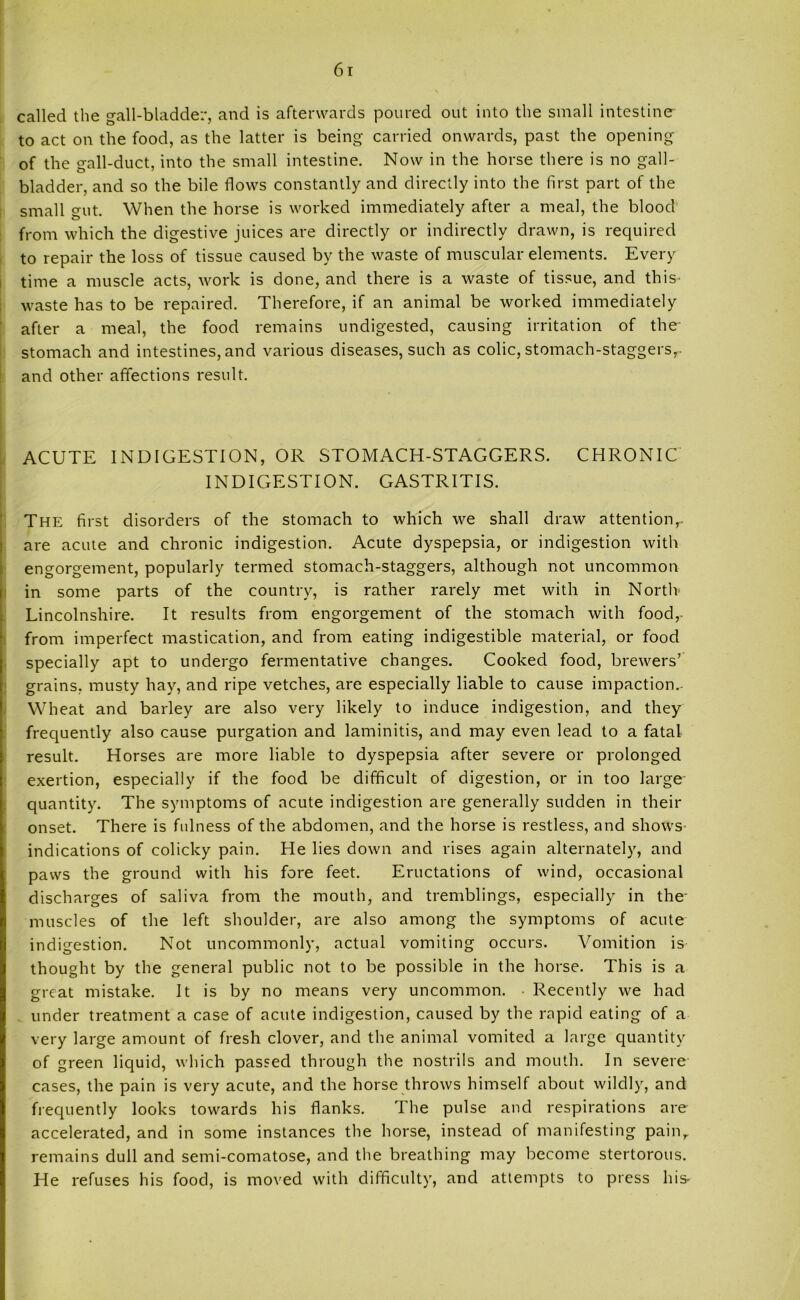 called the gall-bladder, and is afterwards poured out into the small intestine to act on the food, as the latter is being carried onwards, past the opening of the gall-duct, into the small intestine. Now in the horse there is no gall- bladder, and so the bile flows constantly and directly into the first part of the small gut. When the horse is worked immediately after a meal, the blood from which the digestive juices are directly or indirectly drawn, is required to repair the loss of tissue caused by the waste of muscular elements. Every time a muscle acts, work is done, and there is a waste of tissue, and this waste has to be repaired. Therefore, if an animal be worked immediately after a meal, the food remains undigested, causing irritation of the- stomach and intestines, and various diseases, such as colic, stomach-staggers,- and other affections result. ACUTE INDIGESTION, OR STOMACH-STAGGERS. CHRONIC INDIGESTION. GASTRITIS. The first disorders of the stomach to which we shall draw attention,, are acute and chronic indigestion. Acute dyspepsia, or indigestion with engorgement, popularly termed stomach-staggers, although not uncommon in some parts of the country, is rather rarely met with in North Lincolnshire. It results from engorgement of the stomach with food,- from imperfect mastication, and from eating indigestible material, or food specially apt to undergo fermentative changes. Cooked food, brewers’ grains, musty hay, and ripe vetches, are especially liable to cause impaction.- Wheat and barley are also very likely to induce indigestion, and they frequently also cause purgation and laminitis, and may even lead to a fatal result. Horses are more liable to dyspepsia after severe or prolonged exertion, especially if the food be difficult of digestion, or in too large quantity. The symptoms of acute indigestion are generally sudden in their onset. There is fulness of the abdomen, and the horse is restless, and shows indications of colicky pain. He lies down and rises again alternately, and paws the ground with his fore feet. Eructations of wind, occasional discharges of saliva from the mouth, and tremblings, especially in the' muscles of the left shoulder, are also among the symptoms of acute indigestion. Not uncommonly, actual vomiting occurs. Vomition is thought by the general public not to be possible in the horse. This is a great mistake. It is by no means very uncommon. Recently we had under treatment a case of acute indigestion, caused by the rapid eating of a very large amount of fresh clover, and the animal vomited a large quantity of green liquid, which passed through the nostrils and mouth. In severe cases, the pain is very acute, and the horse throws himself about wildly, and frequently looks towards his flanks. The pulse and respirations are accelerated, and in some instances the horse, instead of manifesting pain, remains dull and semi-comatose, and the breathing may become stertorous. He refuses his food, is moved with difficulty, and attempts to press his-