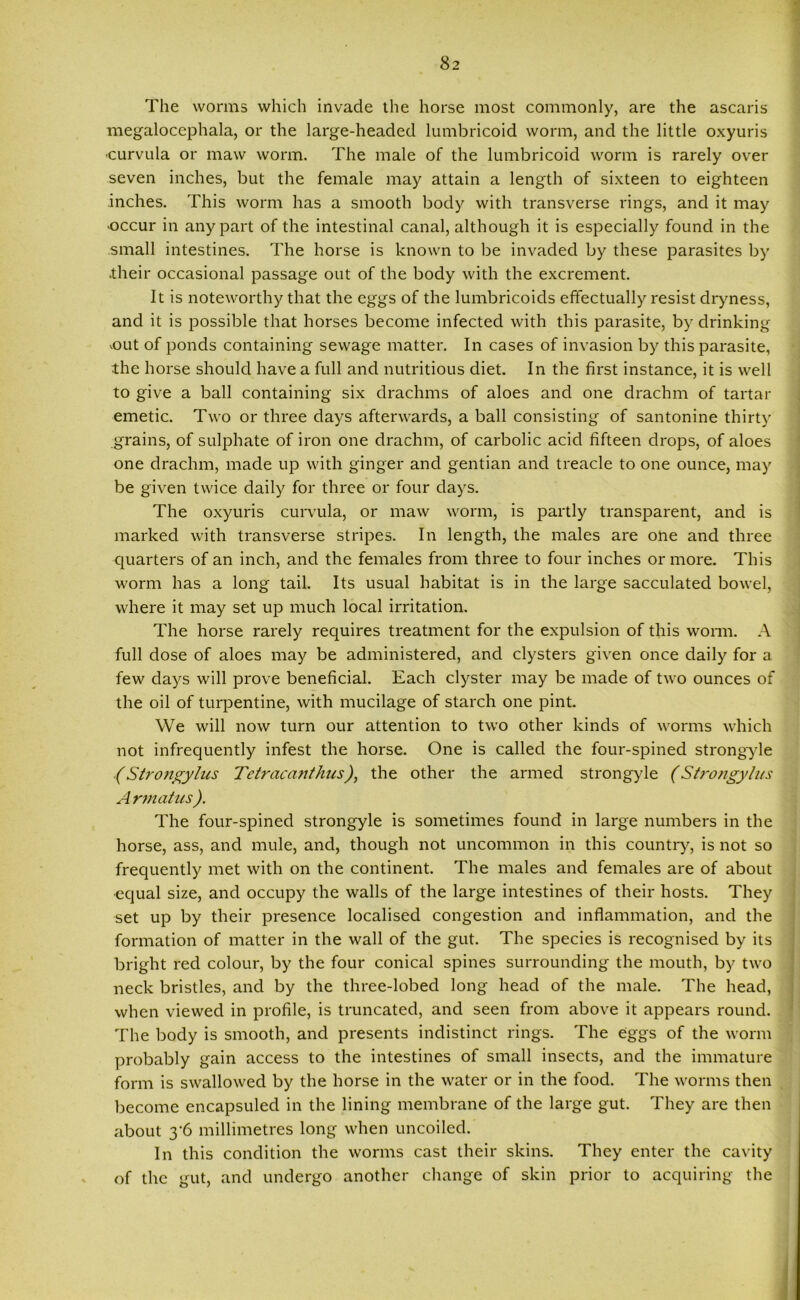 The worms which invade the horse most commonly, are the ascaris megalocephala, or the large-headed lumbricoid worm, and the little oxyuris •curvnla or maw worm. The male of the lumbricoid worm is rarely over seven inches, but the female may attain a length of sixteen to eighteen inches. This worm has a smooth body with transverse rings, and it may occur in any part of the intestinal canal, although it is especially found in the small intestines. The horse is known to be invaded by these parasites by •their occasional passage out of the body with the excrement. It is noteworthy that the eggs of the lumbricoids effectually resist dryness, and it is possible that horses become infected with this parasite, by drinking vout of ponds containing sewage matter. In cases of invasion by this parasite, the horse should have a full and nutritious diet. In the first instance, it is well to give a ball containing six drachms of aloes and one drachm of tartar emetic. Two or three days afterwards, a ball consisting of santonine thirty grains, of sulphate of iron one drachm, of carbolic acid fifteen drops, of aloes one drachm, made up with ginger and gentian and treacle to one ounce, may be given twice daily for three or four days. The oxyuris curvula, or maw worm, is partly transparent, and is marked with transverse stripes. In length, the males are one and three quarters of an inch, and the females from three to four inches or more. This worm has a long tail. Its usual habitat is in the large sacculated bowel, where it may set up much local irritation. The horse rarely requires treatment for the expulsion of this worm. A full dose of aloes may be administered, and clysters given once daily for a few days will prove beneficial. Each clyster may be made of two ounces of the oil of turpentine, with mucilage of starch one pint. We will now turn our attention to two other kinds of worms which not infrequently infest the horse. One is called the four-spined strongyle (Strojigylus Tetracanthus), the other the armed strongyle (Strongylus A rmatus). The four-spined strongyle is sometimes found in large numbers in the horse, ass, and mule, and, though not uncommon in this country, is not so frequently met with on the continent. The males and females are of about •equal size, and occupy the walls of the large intestines of their hosts. They set up by their presence localised congestion and inflammation, and the formation of matter in the wall of the gut. The species is recognised by its bright red colour, by the four conical spines surrounding the mouth, by two neck bristles, and by the three-lobed long head of the male. The head, when viewed in profile, is truncated, and seen from above it appears round. The body is smooth, and presents indistinct rings. The eggs of the worm probably gain access to the intestines of small insects, and the immature form is swallowed by the horse in the water or in the food. The worms then become encapsuled in the lining membrane of the large gut. They are then about 3'6 millimetres long when uncoiled. In this condition the worms cast their skins. They enter the cavity of the gut, and undergo another change of skin prior to acquiring the