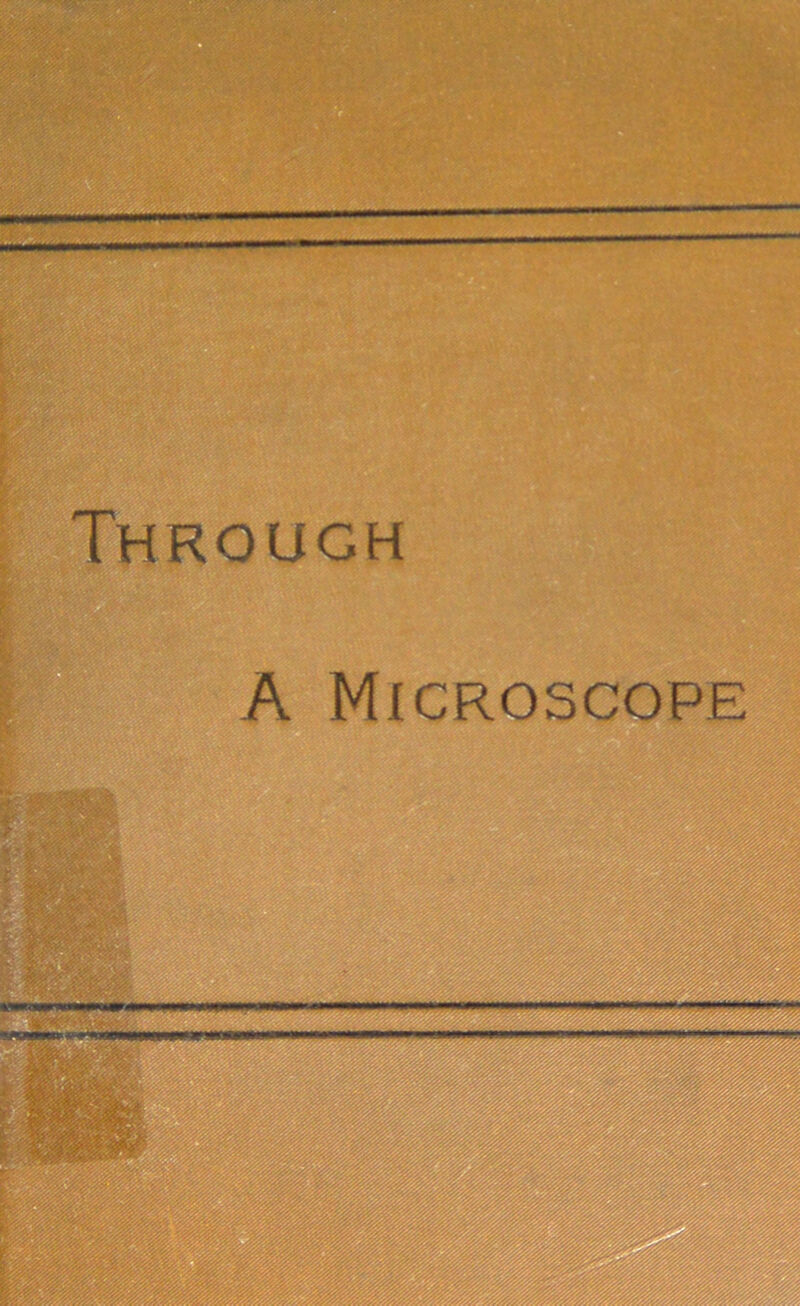 Through A Microscope