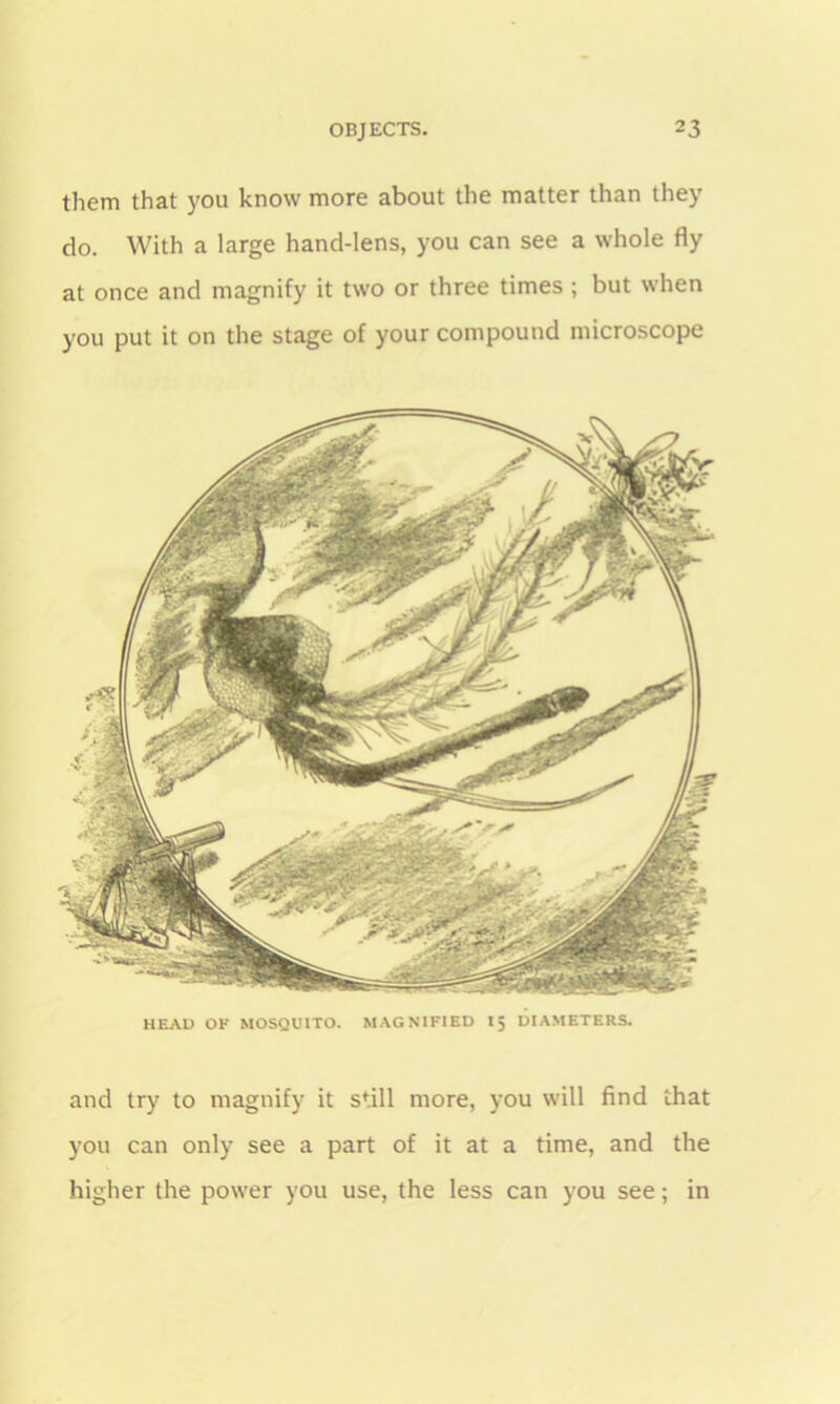 them that you know more about the matter than they do. With a large hand-lens, you can see a whole fly at once and magnify it two or three times ; but when you put it on the stage of your compound microscope HEAD OK MOSQUITO. MAGNIFIED Ij DIAMETERS. and try to magnify it still more, you will find that you can only see a part of it at a time, and the higher the power you use, the less can you see; in