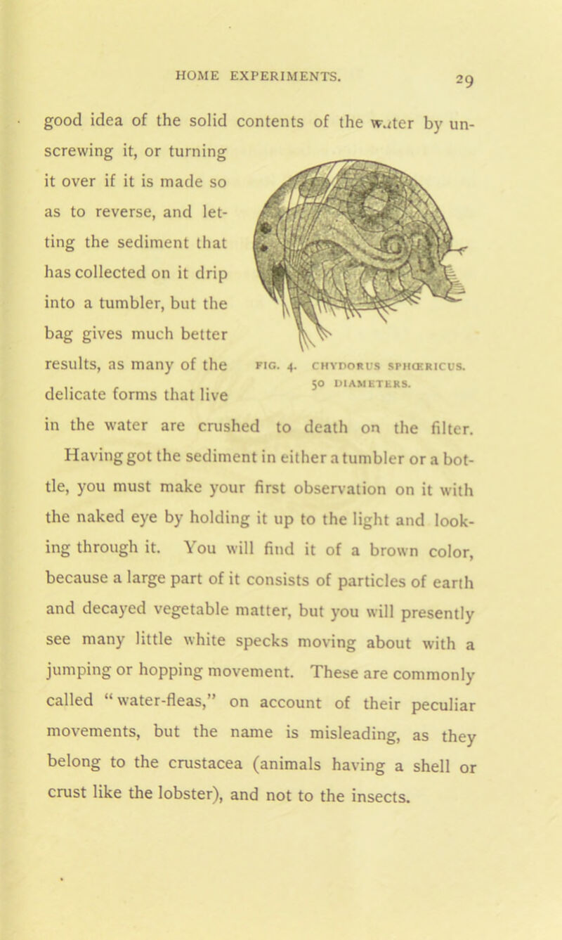 FIG. 4. CHYDORUS SPHCERICUS. 50 DIAMETERS. good idea of the solid contents of the w\<ter by un- screwing it, or turning it over if it is made so as to reverse, and let- ting the sediment that has collected on it drip into a tumbler, but the bag gives much better results, as many of the delicate forms that live in the water are crushed to death on the filter. Having got the sediment in either a tumbler or a bot- tle, you must make your first observation on it with the naked eye by holding it up to the light and look- ing through it. You will find it of a brown color, because a large part of it consists of particles of earth and decayed vegetable matter, but you will presently see many little white specks moving about with a jumping or hopping movement. These are commonly called “water-fleas,” on account of their peculiar movements, but the name is misleading, as they belong to the Crustacea (animals having a shell or crust like the lobster), and not to the insects.