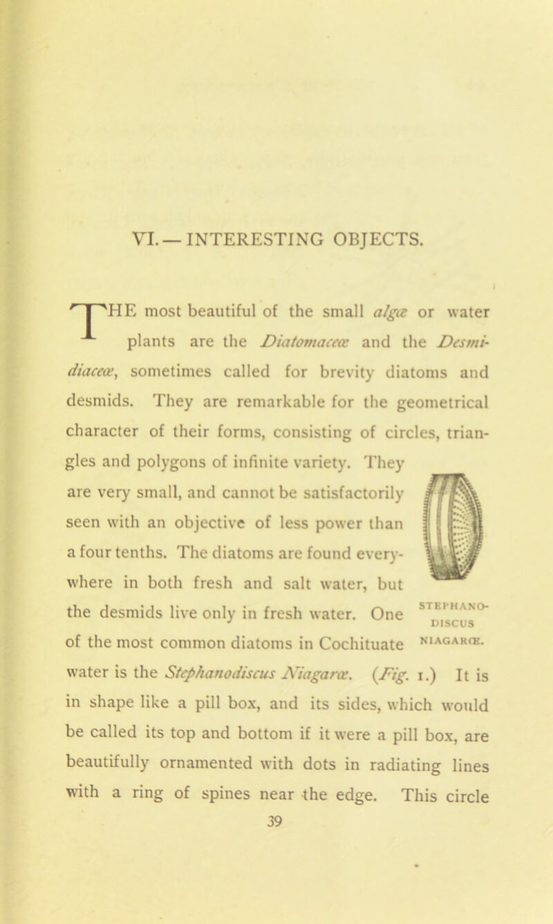 VI. — INTERESTING OBJECTS. HE most beautiful of the small alga or water plants are the Diatom acta; and the Dcsrni- diacea, sometimes called for brevity diatoms and desmids. They are remarkable for the geometrical character of their forms, consisting of circles, trian- gles and polygons of infinite variety. They are very small, and cannot be satisfactorily f seen with an objective of less power than | ! a four tenths. The diatoms are found every- VVyjr where in both fresh and salt water, but the desmids live only in fresh water. One STE,HANO' of the most common diatoms in Cochituate NIAGAK(*- water is the Stephanodiscus Niagaras. {Dig. i.) It is in shape like a pill box, and its sides, which would be called its top and bottom if it were a pill box, are beautifully ornamented with dots in radiating lines with a ring of spines near the edge. This circle