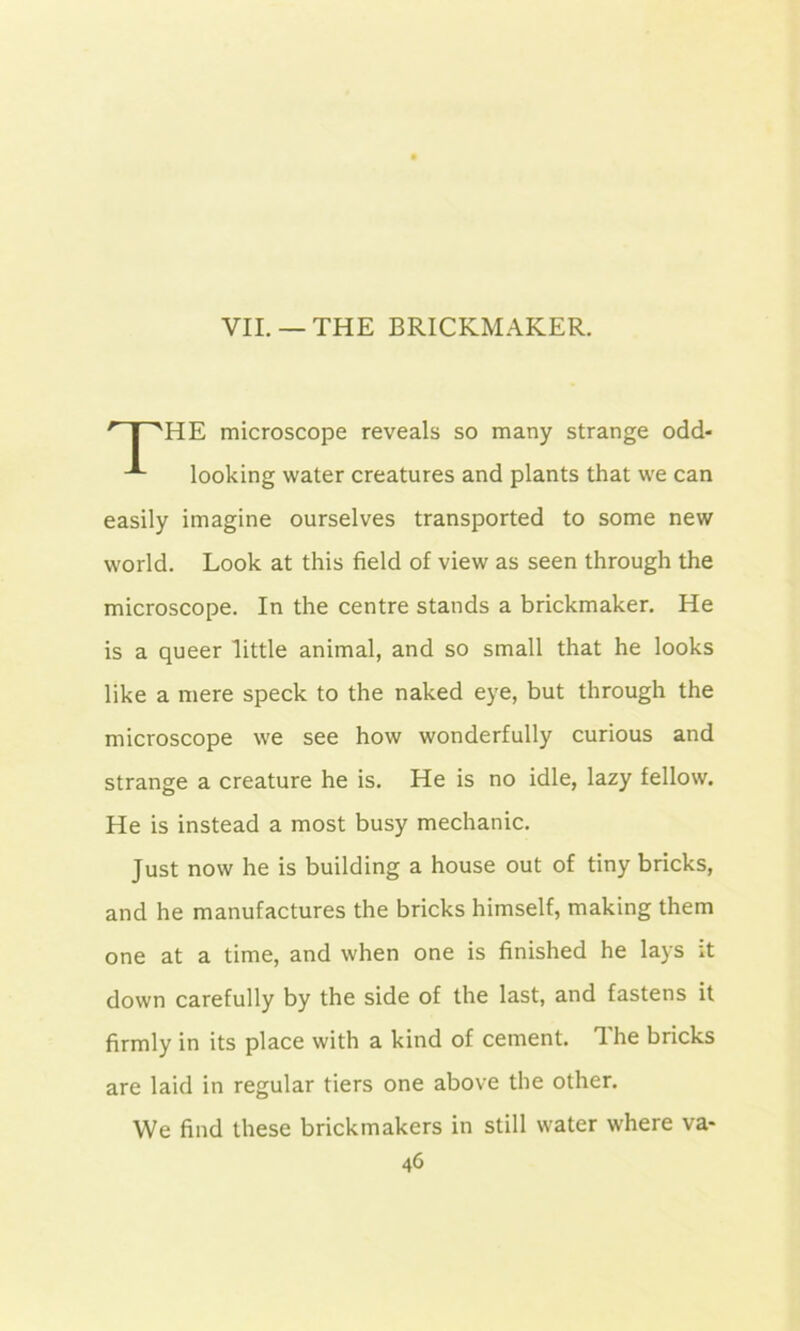 VII. —THE BRICKMAKER. HE microscope reveals so many strange odd- looking water creatures and plants that we can easily imagine ourselves transported to some new world. Look at this field of view as seen through the microscope. In the centre stands a brickmaker. He is a queer little animal, and so small that he looks like a mere speck to the naked eye, but through the microscope we see how wonderfully curious and strange a creature he is. He is no idle, lazy fellow. He is instead a most busy mechanic. Just now he is building a house out of tiny bricks, and he manufactures the bricks himself, making them one at a time, and when one is finished he lays it down carefully by the side of the last, and fastens it firmly in its place with a kind of cement. The bricks are laid in regular tiers one above the other. We find these brickmakers in still water where va-