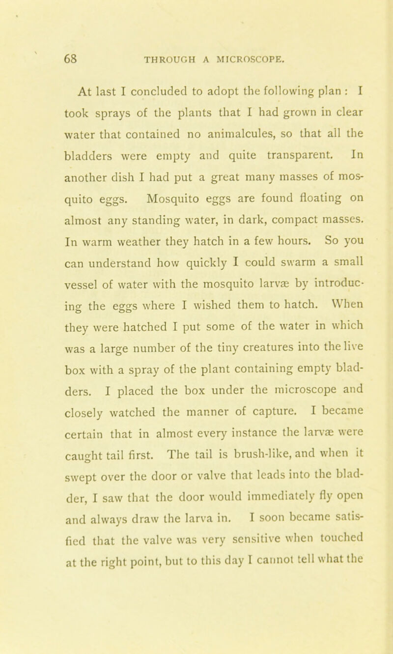 At last I concluded to adopt the following plan : I took sprays of the plants that I had grown in clear water that contained no animalcules, so that all the bladders were empty and quite transparent. In another dish I had put a great many masses of mos- quito eggs. Mosquito eggs are found floating on almost any standing water, in dark, compact masses. In warm weather they hatch in a few hours. So you can understand how quickly I could swarm a small vessel of water with the mosquito larva; by introduc- ing the eggs where I wished them to hatch. When they were hatched I put some of the water in which was a large number of the tiny creatures into the live box with a spray of the plant containing empty blad- ders. I placed the box under the microscope and closely watched the manner of capture. I became certain that in almost every instance the larvae were caught tail first. The tail is brush-like, and when it swept over the door or valve that leads into the blad- der, I saw that the door would immediately fly open and always draw the larva in. I soon became satis- fied that the valve was very sensitive when touched at the right point, but to this day I cannot tell what the