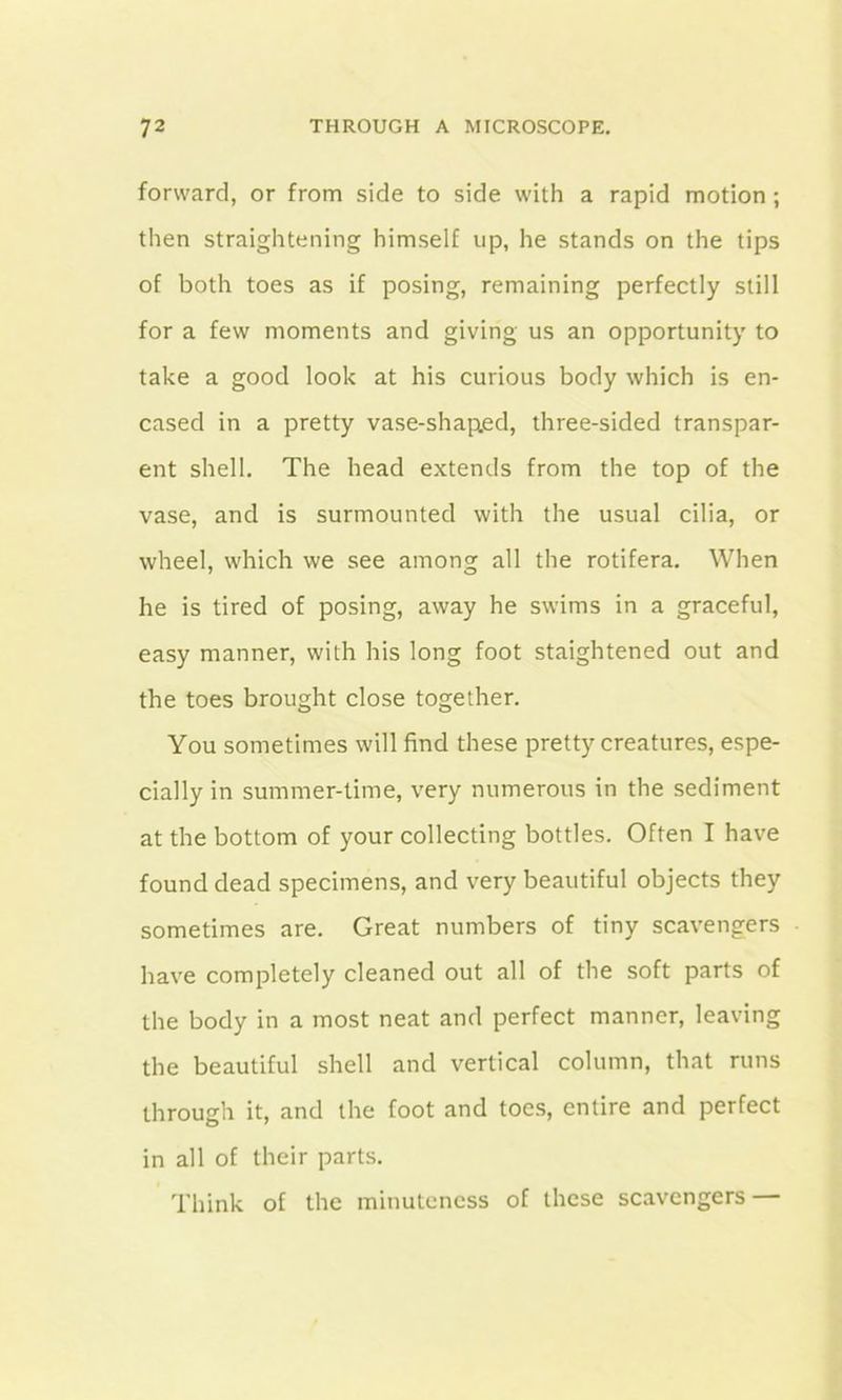 forward, or from side to side with a rapid motion ; then straightening himself up, he stands on the tips of both toes as if posing, remaining perfectly still for a few moments and giving us an opportunity to take a good look at his curious body which is en- cased in a pretty vase-shap.ed, three-sided transpar- ent shell. The head extends from the top of the vase, and is surmounted with the usual cilia, or wheel, which we see among all the rotifera. When he is tired of posing, away he swims in a graceful, easy manner, with his long foot staightened out and the toes brought close together. You sometimes will find these pretty creatures, espe- cially in summer-time, very numerous in the sediment at the bottom of your collecting bottles. Often I have found dead specimens, and very beautiful objects they sometimes are. Great numbers of tiny scavengers have completely cleaned out all of the soft parts of the body in a most neat and perfect manner, leaving the beautiful shell and vertical column, that runs through it, and the foot and toes, entire and perfect in all of their parts. Think of the minuteness of these scavengers