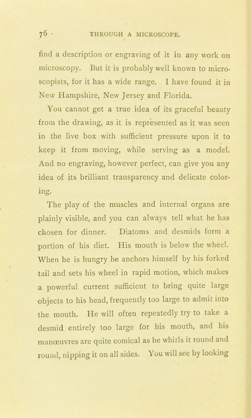 find a description or engraving of it in any work on microscopy. But it is probably well known to micro- scopists, for it has a wide range. I have found it in New Hampshire, New Jersey and Florida. You cannot get a true idea of its graceful beauty from the drawing, as it is represented as it was seen in the live box with sufficient pressure upon it to keep it from moving, while serving as a model. And no engraving, however perfect, can give you any idea of its brilliant transparency and delicate color- ing. The play of the muscles and internal organs are plainly visible, and you can always tell what he has chosen for dinner. Diatoms and desmids form a portion of his diet. His mouth is below the wheel. When he is hungry he anchors himself by his forked tail and sets his wheel in rapid motion, which makes a powerful current sufficient to bring quite large objects to his head, frequently too large to admit into the mouth. He will often repeatedly try to take a desmid entirely too large for his mouth, and his manoeuvres are quite comical as he whirls it round and round, nipping it on all sides. You will see by looking