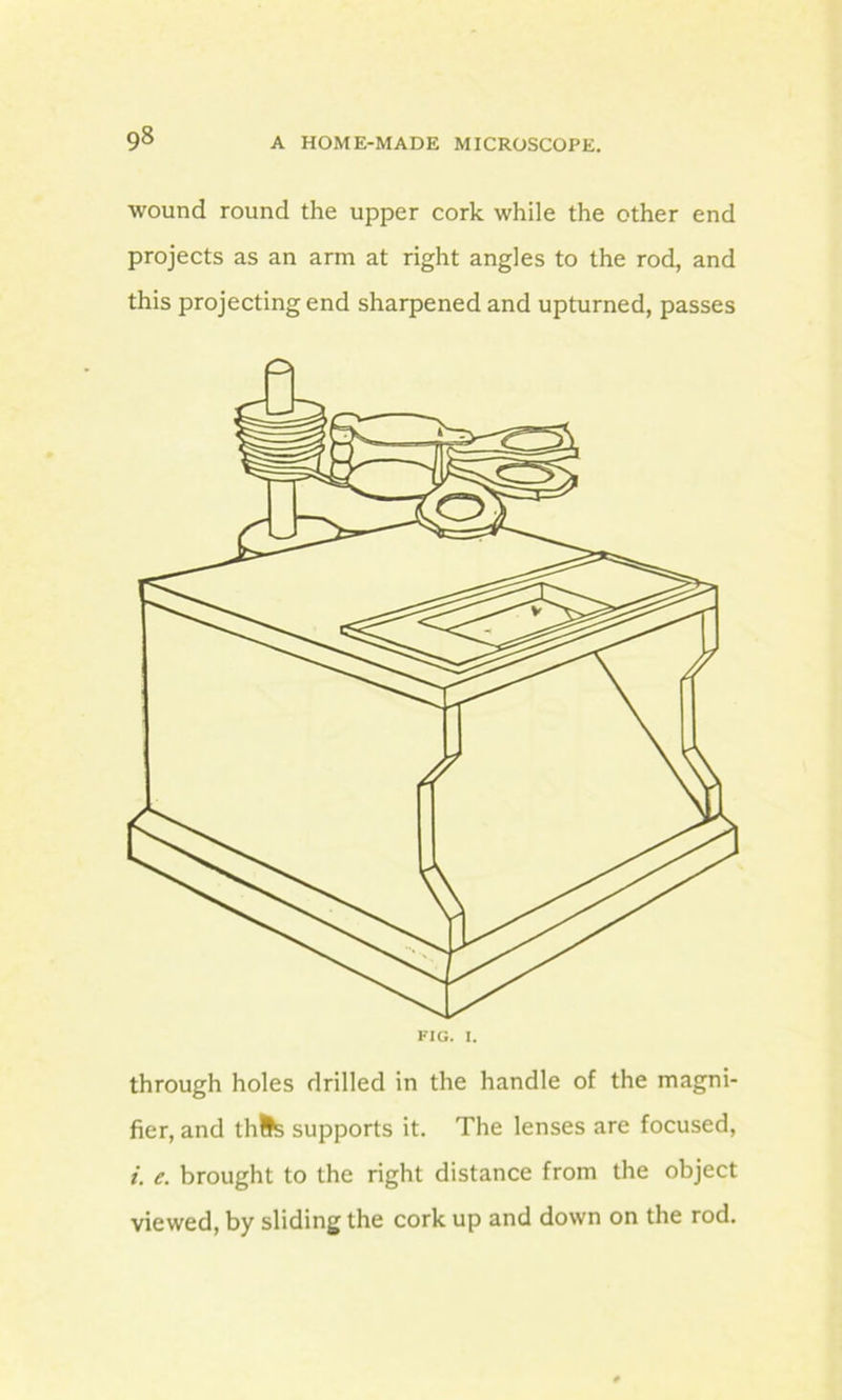 wound round the upper cork while the other end projects as an arm at right angles to the rod, and this projecting end sharpened and upturned, passes through holes drilled in the handle of the magni- fier, and thlte supports it. The lenses are focused, i. e. brought to the right distance from the object viewed, by sliding the cork up and down on the rod.