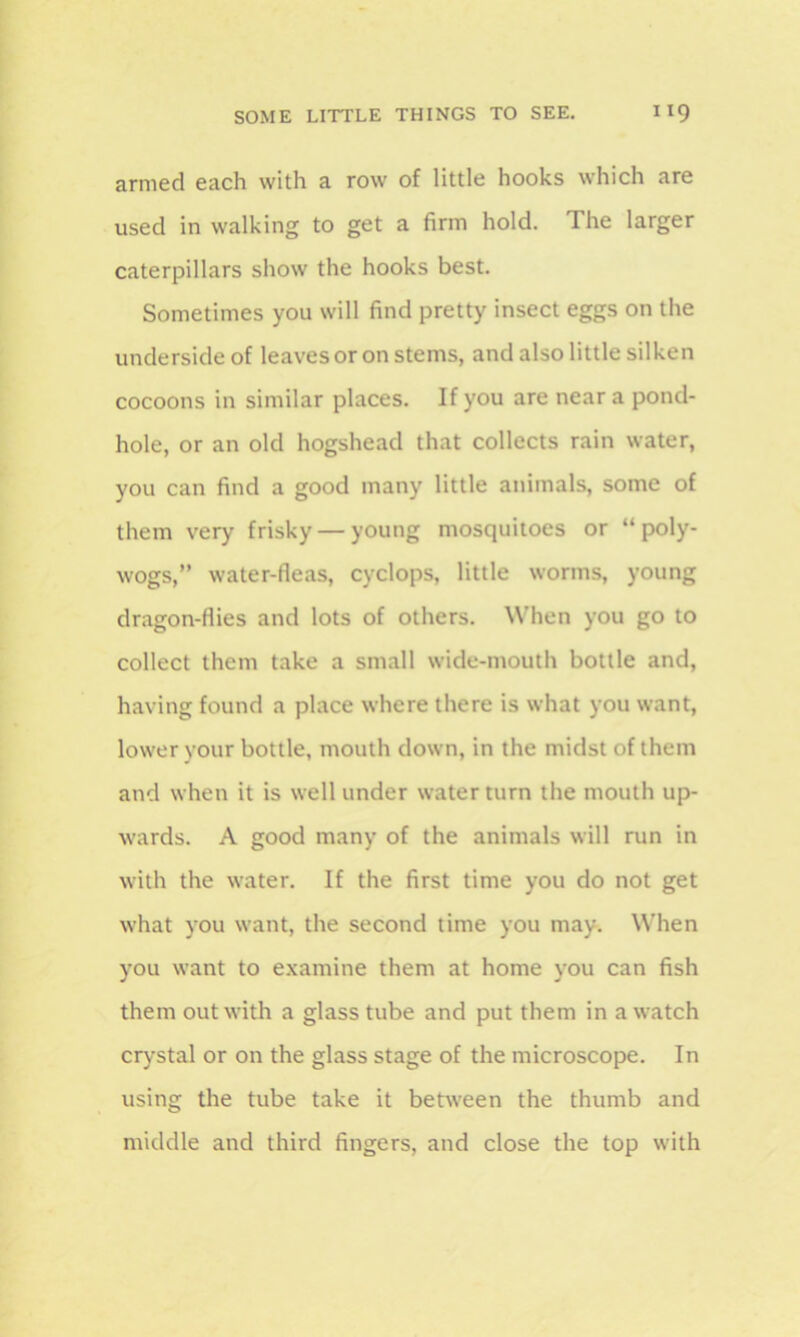 armed each with a row of little hooks which are used in walking to get a firm hold. 1 he larger caterpillars show the hooks best. Sometimes you will find pretty insect eggs on the underside of leaves or on stems, and also little silken cocoons in similar places. If you are near a pond- hole, or an old hogshead that collects rain water, you can find a good many little animals, some of them very frisky — young mosquitoes or “ poly- wogs,” water-fleas, Cyclops, little worms, young dragon-flies and lots of others. When you go to collect them take a small wide-mouth bottle and, having found a place where there is what you want, lower your bottle, mouth down, in the midst of them and when it is well under water turn the mouth up- wards. A good many of the animals will run in with the water. If the first time you do not get what you want, the second time you may. When you want to examine them at home you can fish them out with a glass tube and put them in a watch crystal or on the glass stage of the microscope. In using the tube take it between the thumb and middle and third fingers, and close the top with