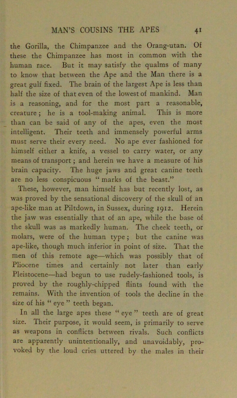 the Gorilla, the Chimpanzee and the Orang-utan. Of these the Chimpanzee has most in common with the human race. But it may satisfy the qualms of many to know that between the Ape and the Man there is a great gulf fixed. The brain of the largest Ape is less than half the size of that even of the lowest of mankind. Man is a reasoning, and for the most part a reasonable, creature; he is a tool-making animal. This is more than can be said of any of the apes, even the most intelligent. Their teeth and immensely powerful arms must serve their every need. No ape ever fashioned for himself eitlier a knife, a vessel to carry water, or any means of transport; and herein we have a measure of his brain capacity. The huge jaws and great canine teeth are no less conspicuous “ marks of the beast.” These, however, man himself has but recently lost, as was proved by the sensational discovery of the skull of an ape-like man at Piltdown, in Sussex, during 1912. Herein the jaw was essentially that of an ape, while the base of the skull was as markedly human. The cheek teeth, or molars, were of the human type; but the canine was ape-like, though much inferior in point of size. That the men of this remote age—which was possibly that of Pliocene times and certainly not later than early Pleistocene—had begun to use rudely-fashioned tools, is proved by the roughly-chipped flints found with the remains. With the invention of tools the decline in the size of his “ eye ” teeth began. In all the large apes these “ eye ” teeth are of great size. Their purpose, it would seem, is primarily to serve as weapons in conflicts between rivals. Such conflicts are apparently unintentionally, and unavoidably, pro- voked by the loud cries uttered by the males in their