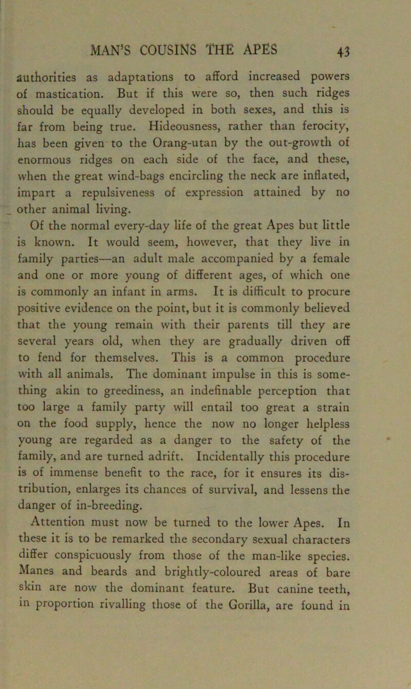 authorities as adaptations to afford increased powers of mastication. But if this were so, then such ridges should be equally developed in both sexes, and this is far from being true. Hideousness, rather than ferocity, has been given to the Orang-utan by the out-growth of enormous ridges on each side of the face, and these, when the great wind-bags encircling the neck are inflated, impart a repulsiveness of expression attained by no other animal living. Of the normal every-day life of the great Apes but little is known. It would seem, however, that they live in family parties—an adult male accompanied by a female and one or more young of different ages, of which one is commonly an infant in arms. It is difficult to procure positive evidence on the point, but it is commonly believed that the young remain with their parents till they are several years old, when they are gradually driven off to fend for themselves. This is a common procedure with all animals. The dominant impulse in this is some- thing akin to greediness, an indefinable perception that too large a family party will entail too great a strain on the food supply, hence the now no longer helpless young are regarded as a danger to the safety of the family, and are turned adrift. Incidentally this procedure is of immense benefit to the race, for it ensures its dis- tribution, enlarges its chances of survival, and lessens the danger of in-breeding. Attention must now be turned to the lower Apes. In these it is to be remarked the secondary sexual characters differ conspicuously from those of the man-like species. Manes and beards and brightly-coloured areas of bare skin are now the dominant feature. But canine teeth, in proportion rivalling those of the Gorilla, are found in