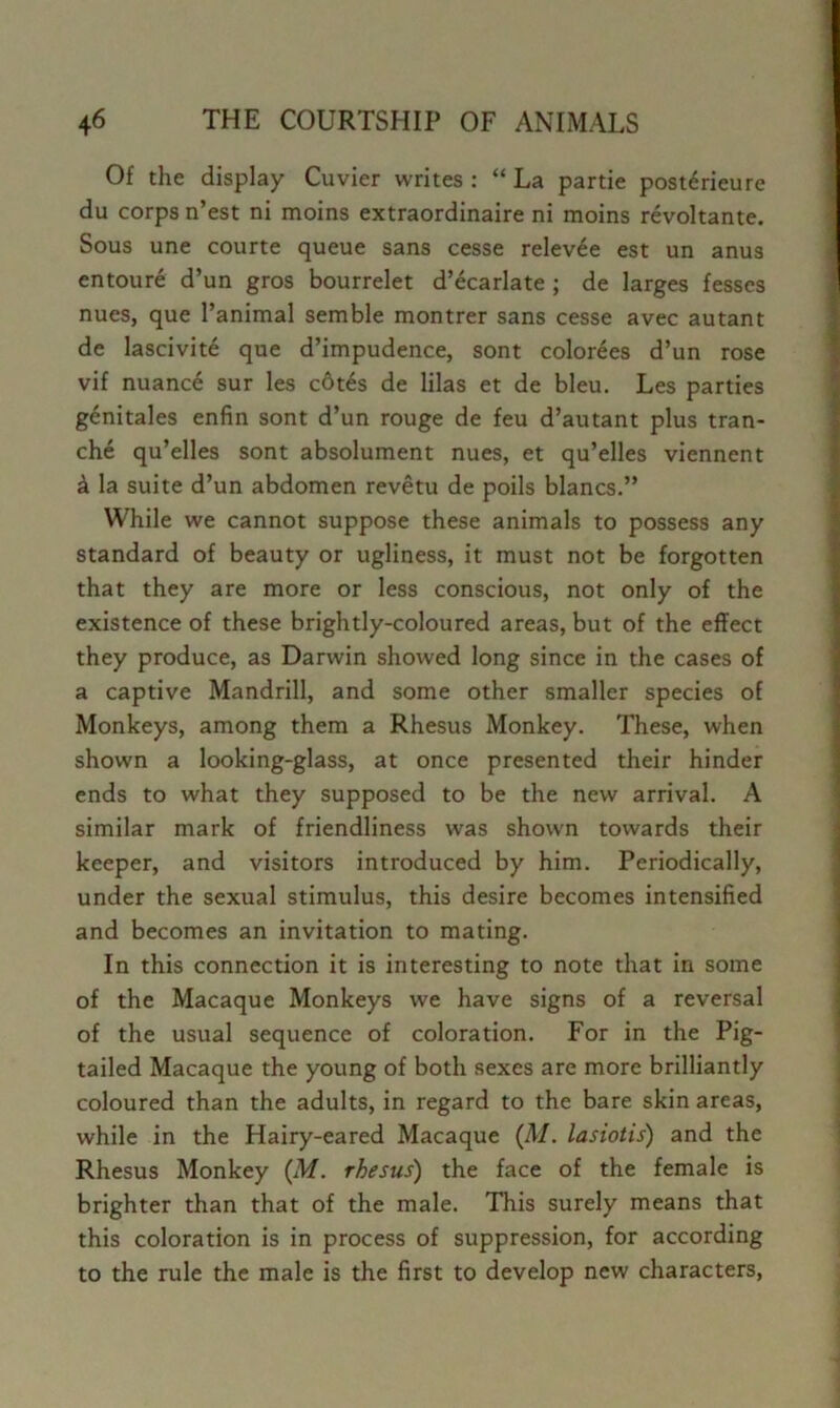 Of the display Cuvier writes : “ La partie post6rieure du corps n’est ni moins extraordinaire ni moins revoltante. Sous une courte queue sans cesse relev^e est un anus entoure d’un gros bourrelet d’ecarlate ; de larges fesses nues, que I’animal semble montrer sans cesse avec autant de lascivite que d’impudence, sont colorees d’un rose vif nuance sur les c6tes de lilas et de bleu. Les parties genitales enfin sont d’un rouge de feu d’autant plus tran- che qu’elles sont absolument nues, et qu’elles viennent a la suite d’un abdomen revetu de poils Wanes.” While we cannot suppose these animals to possess any standard of beauty or ugliness, it must not be forgotten that they are more or less conscious, not only of the existence of these brightly-coloured areas, but of the effect they produce, as Darwin showed long since in the cases of a captive Mandrill, and some other smaller species of Monkeys, among them a Rhesus Monkey. These, when shown a looking-glass, at once presented their hinder ends to what they supposed to be the new arrival. A similar mark of friendliness was shown towards their keeper, and visitors introduced by him. Periodically, under the sexual stimulus, this desire becomes intensified and becomes an invitation to mating. In this connection it is interesting to note that in some of the Macaque Monkeys we have signs of a reversal of the usual sequence of coloration. For in the Pig- tailed Macaque the young of both sexes are more brilliantly coloured than the adults, in regard to the bare skin areas, while in the Hairy-eared Macaque (A/, lasiotis) and the Rhesus Monkey (M. rhesus) the face of the female is brighter than that of the male. This surely means that this coloration is in process of suppression, for according to the rule the male is the first to develop new characters.