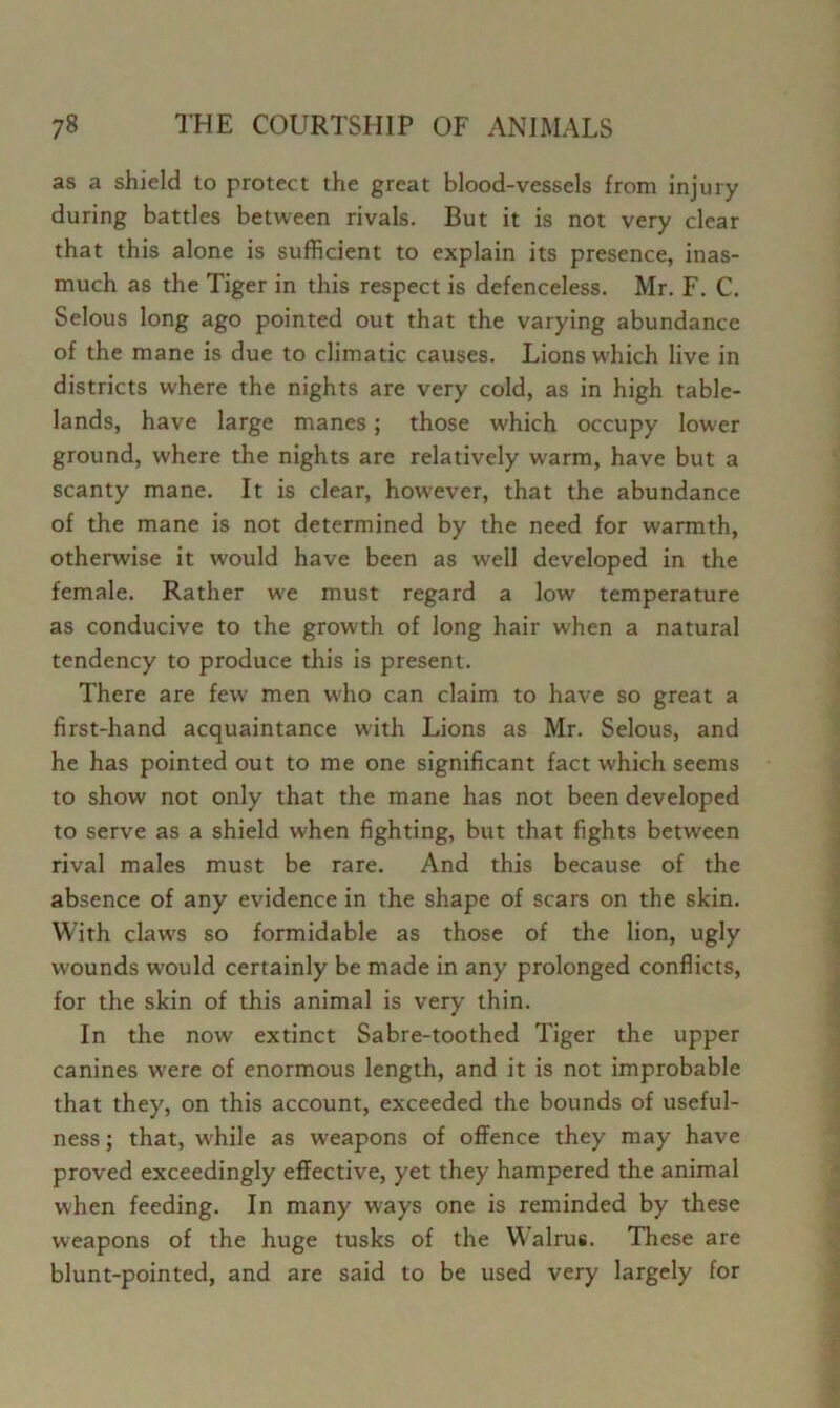 as a shield to protect the great blood-vessels from injury during battles between rivals. But it is not very clear that this alone is sufficient to explain its presence, inas- much as the Tiger in this respect is defenceless. Mr. F. C, Selous long ago pointed out that the varying abundance of the mane is due to climatic causes. Lions which live in districts where the nights are very cold, as in high table- lands, have large manes; those which occupy lower ground, where the nights are relatively warm, have but a scanty mane. It is clear, however, that the abundance of the mane is not determined by the need for warmth, otherwise it would have been as well developed in the female. Rather we must regard a low temperature as conducive to the growth of long hair when a natural tendency to produce this is present. There are few men who can claim to have so great a first-hand acquaintance with Lions as Mr. Selous, and he has pointed out to me one significant fact which seems to show not only that the mane has not been developed to serve as a shield when fighting, but that fights between rival males must be rare. And this because of the absence of any evidence in the shape of scars on the skin. With claws so formidable as those of the lion, ugly wounds would certainly be made in any prolonged conflicts, for the skin of this animal is very thin. In the now extinct Sabre-toothed Tiger the upper canines were of enormous length, and it is not improbable that they, on this account, exceeded the bounds of useful- ness ; that, while as weapons of offence they may have proved exceedingly effective, yet they hampered the animal when feeding. In many ways one is reminded by these weapons of the huge tusks of the Walrus. These are blunt-pointed, and are said to be used very largely for