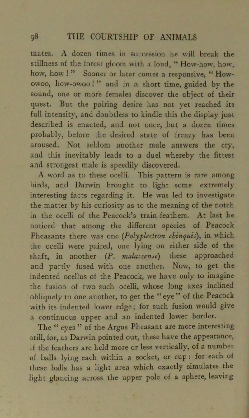 mates. A dozen times in succession he will break the stillness of the forest gloom with a loud, “ How-how, how, how, how ! ” Sooner or later comes a responsive, “ How- owoo, how-owoo ! ” and in a short time, guided by the sound, one or more females discover the object of their quest. But the pairing desire has not yet reached its full intensity, and doubtless to kindle this the display just described is enacted, and not once, but a dozen times probably, before the desired state of frenzy has been aroused. Not seldom another male answers the cry, and this inevitably leads to a duel whereby the fittest and strongest male is speedily discovered. A word as to these ocelli. This pattern is rare among birds, and Darwin brought to light some extremely interesting facts regarding it. He was led to investigate the matter by his curiosity as to the meaning of the notch in the ocelli of the Peacock’s train-feathers. At last he noticed that among the different species of Peacock Pheasants there was one {Polypiectron chinquis), in which the ocelli were paired, one lying on either side of the shaft, in another (P. malaccense) these approached and partly fused with one another. Now, to get the indented ocellus of the Peacock, we have only to imagine the fusion of two such ocelli, whose long axes inclined obliquely to one another, to get the “eye” of the Peacock with its indented lower edge; for such fusion would give a continuous upper and an indented lower border. The “ eyes ” of the Argus Pheasant are more interesting still, for, as Darwin pointed out, these have the appearance, if the feathers are held more or less vertically, of a number of balls lying each within a socket, or cup : for each of these balls has a light area which exactly simulates the light glancing across the upper pole of a sphere, leaving