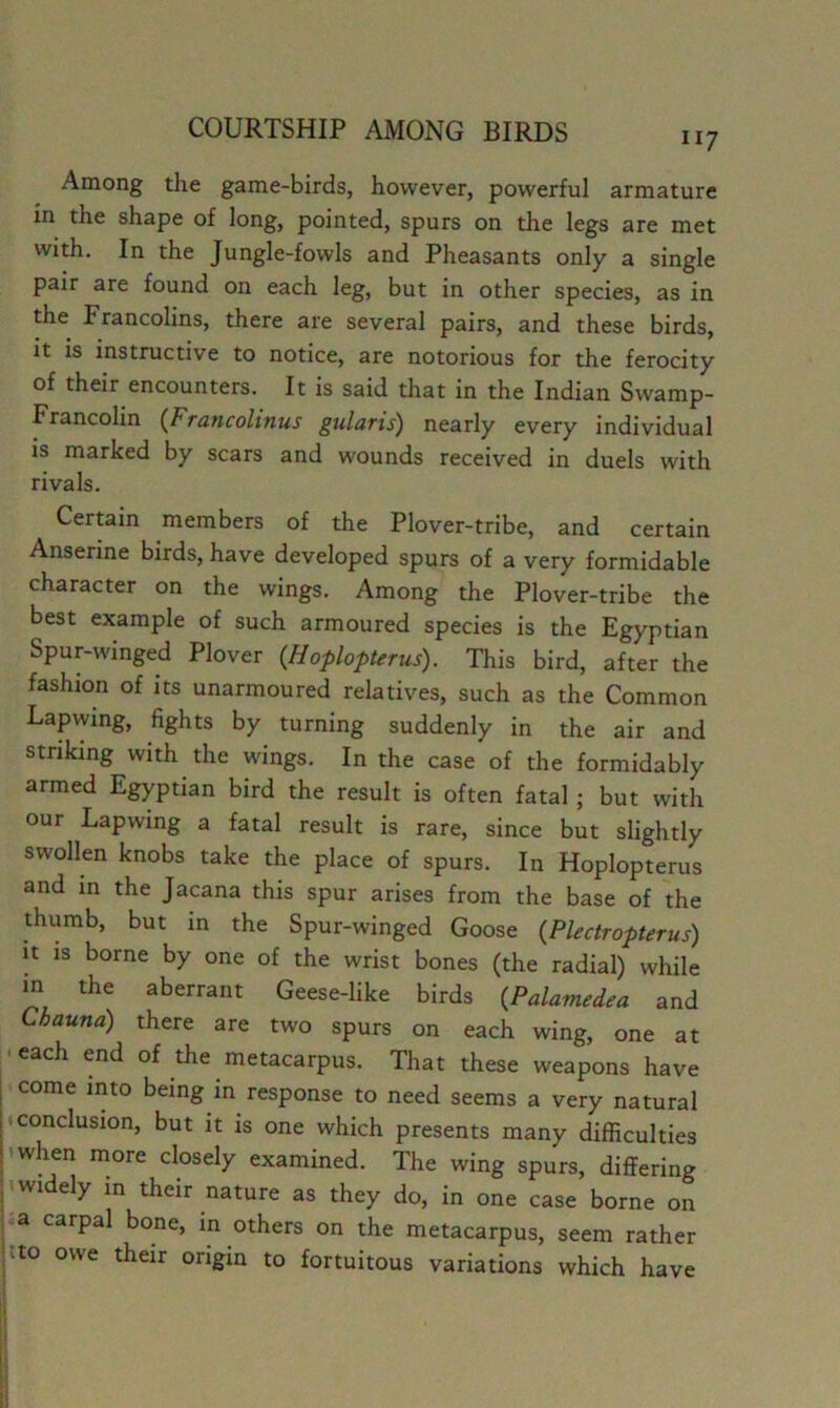 Among the game-birds, however, powerful armature in the shape of long, pointed, spurs on the legs are met with. In the Jungle-fowls and Pheasants only a single pair are found on each leg, but in other species, as in the Francolins, there are several pairs, and these birds, it is instructive to notice, are notorious for the ferocity of their encounters. It is said that in the Indian Swamp- Francolin {Francolinus gularis) nearly every individual is marked by scars and wounds received in duels with rivals. Cermin members of the Plover-tribe, and certain Anserine birds, have developed spurs of a very formidable character on the wings. Among the Plover-tribe the best example of such armoured species is the Egyptian Spur-winged Plover {Hoplopterus). This bird, after the fashion of its unarmoured relatives, such as the Common Lapwing, fights by turning suddenly in the air and striking with the wings. In the case of the formidably armed Egyptian bird the result is often fatal; but with our Lapwing a fatal result is rare, since but slightly swollen knobs take the place of spurs. In Hoplopterus and in the Jacana this spur arises from the base of the thumb, but m the Spur-winged Goose {Plectropterus) It is borne by one of the wrist bones (the radial) while m the aberrant Geese-like birds {Palamedea and Chauna) there are two spurs on each wing, one at -each end of the metacarpus. That these weapons have come into being in response to need seems a very natural • conclusion, but it is one which presents many difficulties • when more closely examined. The wing spurs, differing ' widely m their nature as they do, in one case borne on a carpal bone, in others on the metacarpus, seem rather jtto owe their origin to fortuitous variations which have