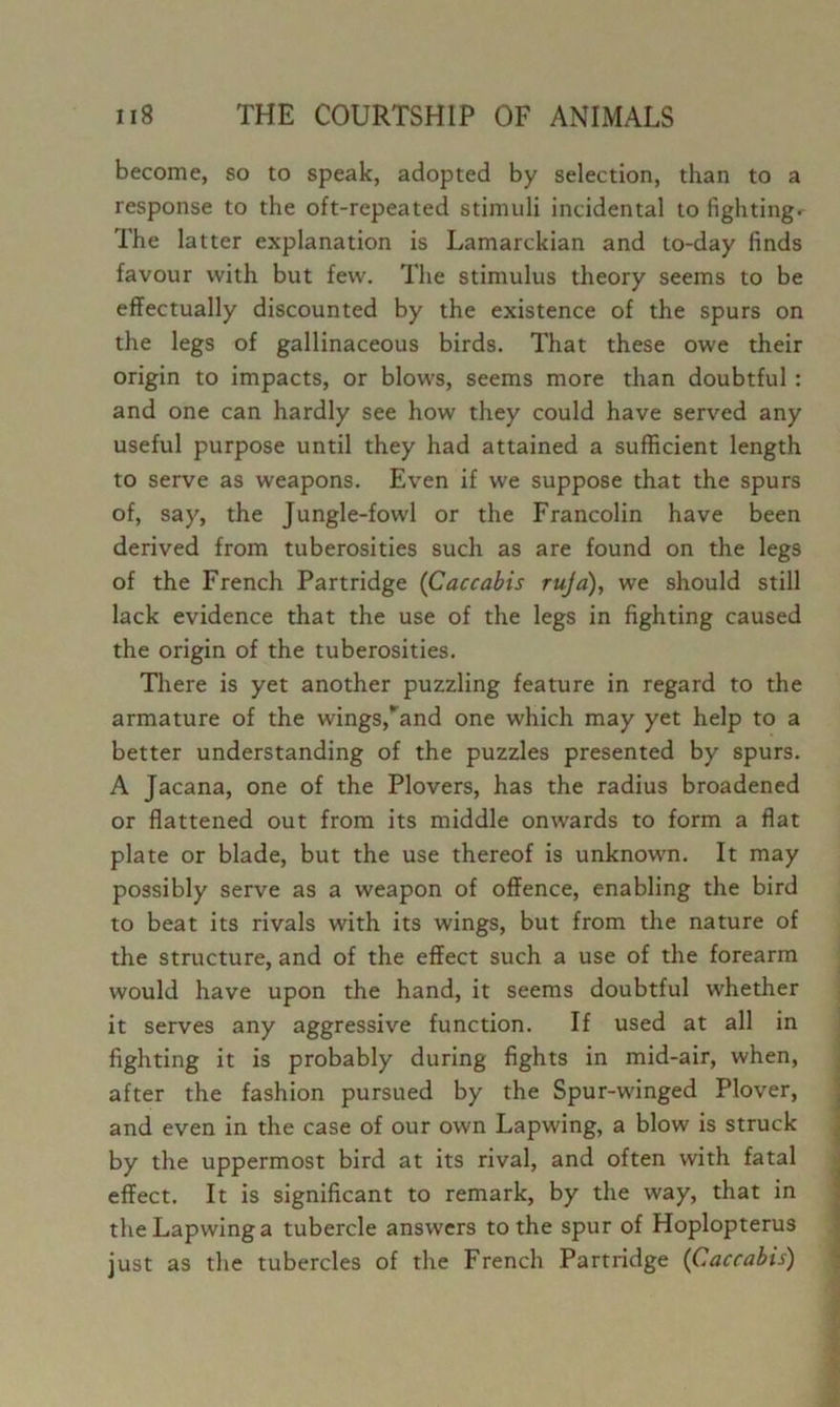 become, so to speak, adopted by selection, than to a response to the oft-repeated stimuli incidental to fightings The latter explanation is Lamarckian and to-day finds favour with but few. The stimulus theory seems to be effectually discounted by the existence of the spurs on the legs of gallinaceous birds. That these owe their origin to impacts, or blows, seems more than doubtful: and one can hardly see how they could have served any useful purpose until they had attained a sufficient length to serve as weapons. Even if we suppose that the spurs of, say, the Jungle-fowl or the Francolin have been derived from tuberosities such as are found on the legs of the French Partridge (Caccabis ruja), we should still lack evidence that the use of the legs in fighting caused the origin of the tuberosities. There is yet another puzzling feature in regard to the armature of the wings,*’and one which may yet help to a better understanding of the puzzles presented by spurs. A Jacana, one of the Plovers, has the radius broadened or flattened out from its middle onwards to form a flat plate or blade, but the use thereof is unknown. It may possibly serve as a weapon of offence, enabling the bird to beat its rivals with its wings, but from the nature of the structure, and of the effect such a use of the forearm would have upon the hand, it seems doubtful whether it serves any aggressive function. If used at all in fighting it is probably during fights in mid-air, when, after the fashion pursued by the Spur-winged Plover, and even in the case of our own Lapwing, a blow is struck by the uppermost bird at its rival, and often with fatal effect. It is significant to remark, by the way, that in the Lapwing a tubercle answers to the spur of Hoplopterus just as the tubercles of the French Partridge {Caccabis)