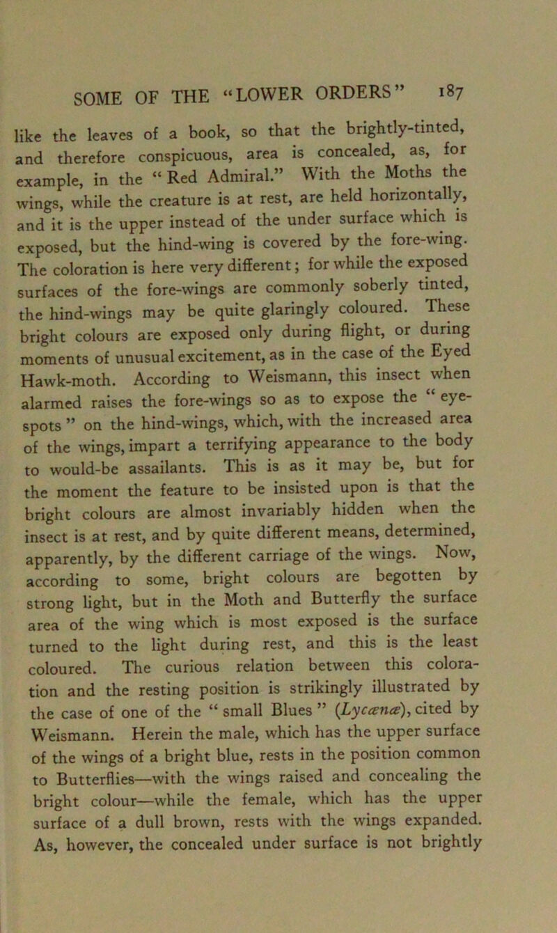 like the leaves of a book, so that the brightly-tinted, and therefore conspicuous, area is concealed, as, for example, in the “ Red Admiral ” With the Moths the wings, while the creature is at rest, are held horizontally, and it is the upper instead of the under surface which is exposed, but the hind-wing is covered by the fore-wing. The coloration is here very different; for while the exposed surfaces of the fore-wings are commonly soberly tinted, the hind-wings may be quite glaringly coloured. These bright colours are exposed only during flight, or during moments of unusual excitement, as in the case of the Eyed Hawk-moth. According to Weismann, this insect when alarmed raises the fore-wings so as to expose the eye- spots ” on the hind-wings, which, with the increased area of the wings, impart a terrifying appearance to the body to would-be assailants. This is as it may be, but for the moment the feature to be insisted upon is that the bright colours are almost invariably hidden when the insect is at rest, and by quite different means, determined, apparently, by the different carriage of the wings. Now, according to some, bright colours are begotten by strong light, but in the Moth and Butterfly the surface area of the wing which is most exposed is the surface turned to the light during rest, and this is the least coloured. The curious relation between this colora- tion and the resting position is strikingly illustrated by the case of one of the “ small Blues ” {Lycance), cited by Weismann. Herein the male, which has the upper surface of the wings of a bright blue, rests in the position common to Butterflies—with the wings raised and concealing the bright colour—while the female, which has the upper surface of a dull brown, rests with the wings expanded. As, however, the concealed under surface is not brightly