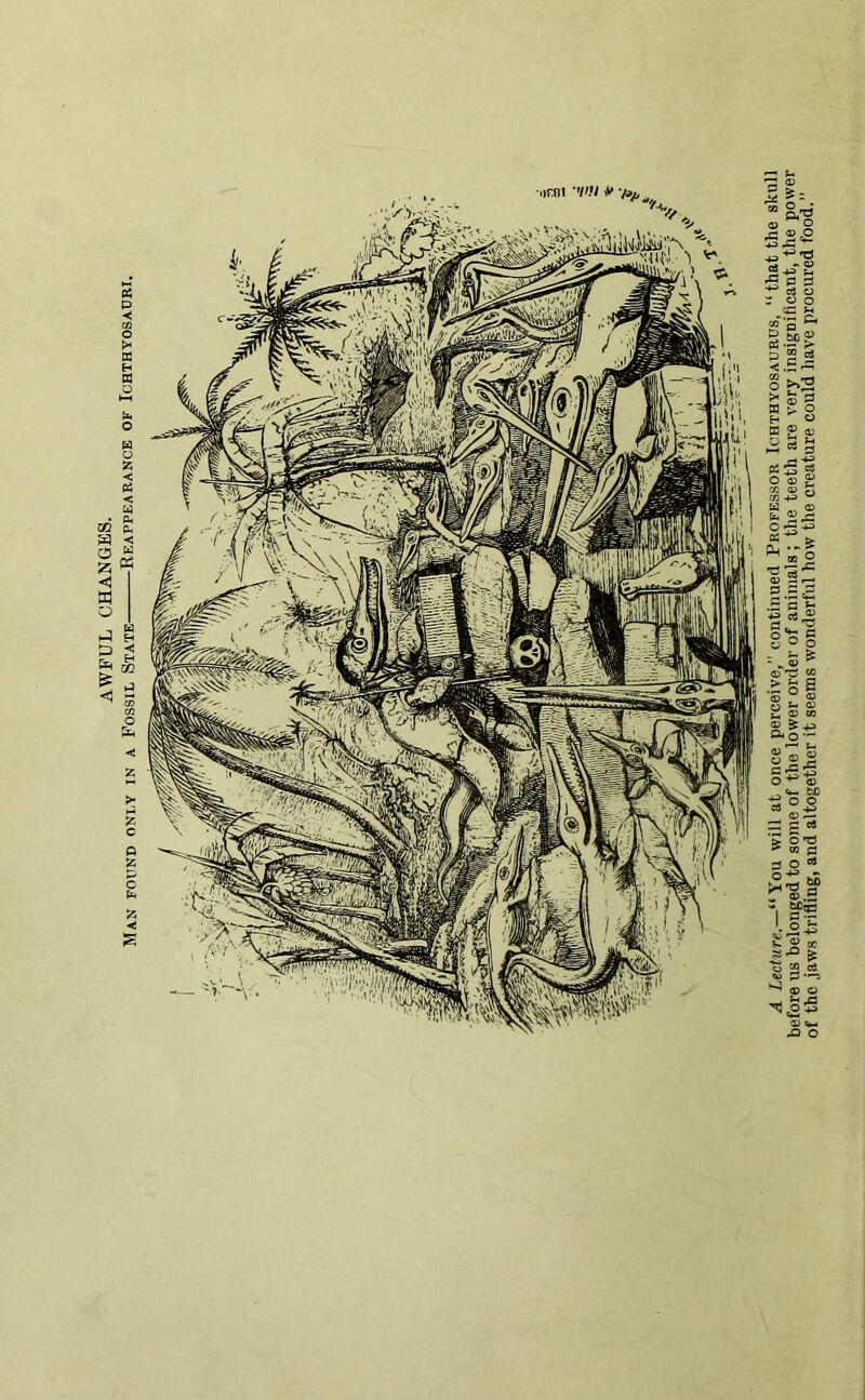 AWFUL CHANGES. Man found only in a Fossil State Reappearance of Ichthyosauri. A Lecture.—“ You will at once perceive,” continued Professor Ichthyosaurus, “that the skull before us belonged to some of the lower order of animals ; the teeth are very insignificant, the power of the jaws trifling, and altogether it seems wonderful how the creature could have procured food.”