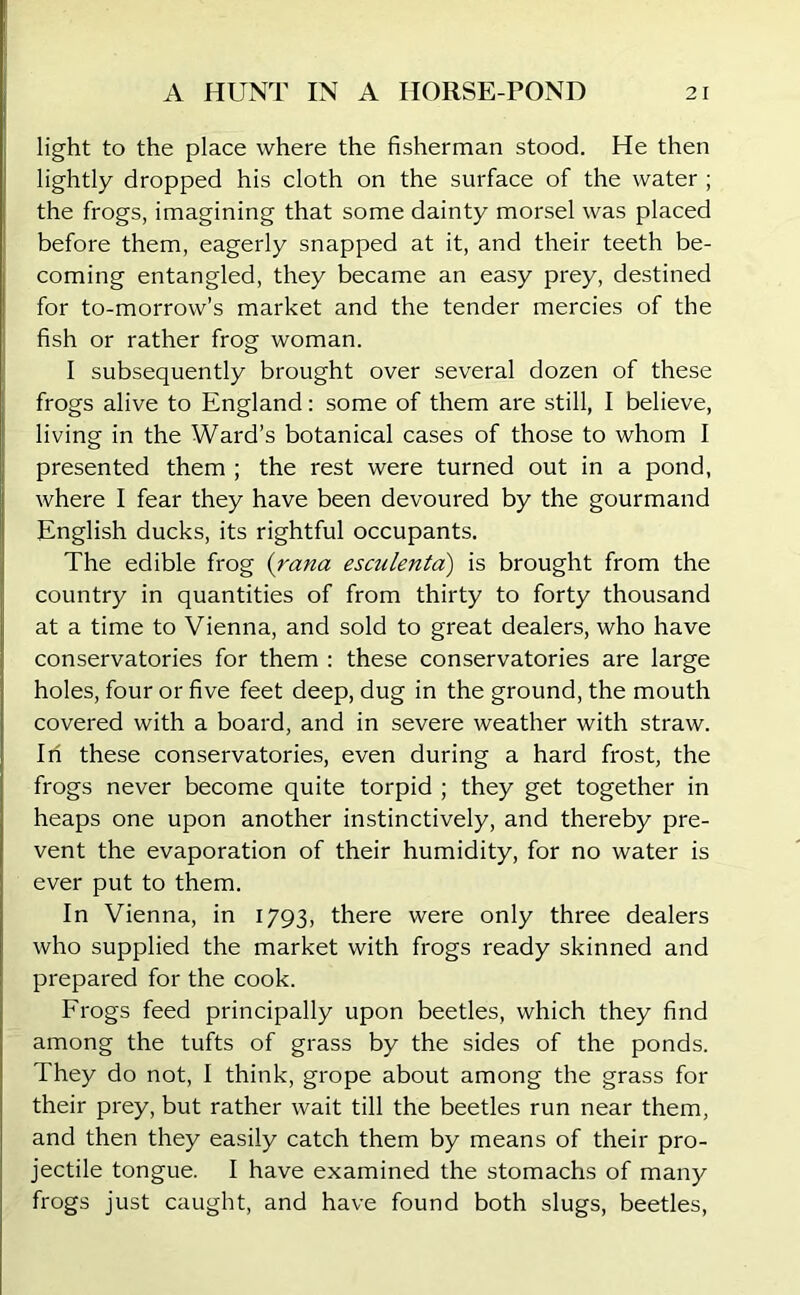 light to the place where the fisherman stood. He then lightly dropped his cloth on the surface of the water ; the frogs, imagining that some dainty morsel was placed before them, eagerly snapped at it, and their teeth be- coming entangled, they became an easy prey, destined for to-morrow’s market and the tender mercies of the fish or rather frog woman. I subsequently brought over several dozen of these frogs alive to England: some of them are still, I believe, living in the Ward’s botanical cases of those to whom I presented them ; the rest were turned out in a pond, where I fear they have been devoured by the gourmand English ducks, its rightful occupants. The edible frog (rana esculenta) is brought from the country in quantities of from thirty to forty thousand at a time to Vienna, and sold to great dealers, who have conservatories for them : these conservatories are large holes, four or five feet deep, dug in the ground, the mouth covered with a board, and in severe weather with straw. In these conservatories, even during a hard frost, the frogs never become quite torpid ; they get together in heaps one upon another instinctively, and thereby pre- vent the evaporation of their humidity, for no water is ever put to them. In Vienna, in 1793, there were only three dealers who supplied the market with frogs ready skinned and prepared for the cook. Frogs feed principally upon beetles, which they find among the tufts of grass by the sides of the ponds. They do not, I think, grope about among the grass for their prey, but rather wait till the beetles run near them, and then they easily catch them by means of their pro- jectile tongue. I have examined the stomachs of many frogs just caught, and have found both slugs, beetles,