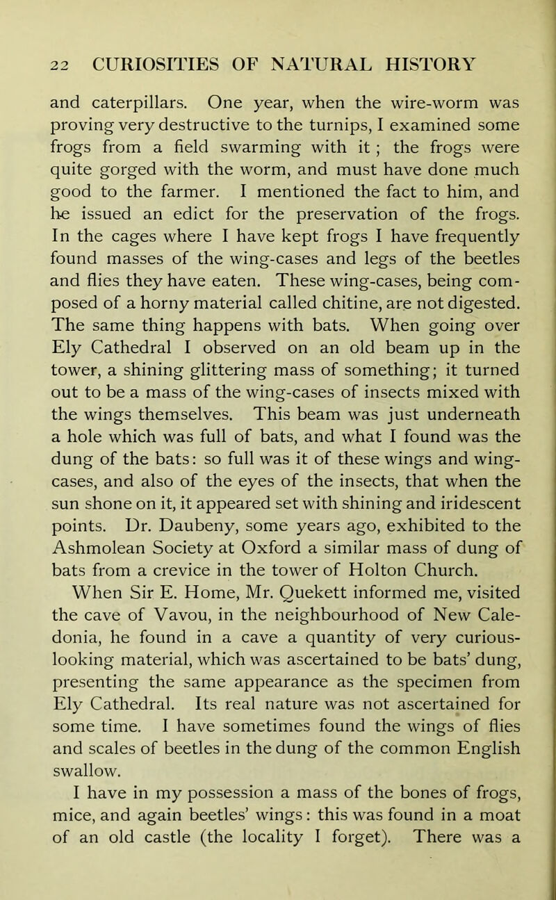 and caterpillars. One year, when the wire-worm was proving very destructive to the turnips, I examined some frogs from a field swarming with it ; the frogs were quite gorged with the worm, and must have done much good to the farmer. I mentioned the fact to him, and he issued an edict for the preservation of the frogs. In the cages where I have kept frogs I have frequently found masses of the wing-cases and legs of the beetles and flies they have eaten. These wing-cases, being com- posed of a horny material called chitine, are not digested. The same thing happens with bats. When going over Ely Cathedral I observed on an old beam up in the tower, a shining glittering mass of something; it turned out to be a mass of the wing-cases of insects mixed with the wings themselves. This beam was just underneath a hole which was full of bats, and what I found was the dung of the bats: so full was it of these wings and wing- cases, and also of the eyes of the insects, that when the sun shone on it, it appeared set with shining and iridescent points. Dr. Daubeny, some years ago, exhibited to the Ashmolean Society at Oxford a similar mass of dung of bats from a crevice in the tower of Holton Church. When Sir E. Home, Mr. Quekett informed me, visited the cave of Vavou, in the neighbourhood of New Cale- donia, he found in a cave a quantity of very curious- looking material, which was ascertained to be bats’ dung, presenting the same appearance as the specimen from Ely Cathedral. Its real nature was not ascertained for some time. I have sometimes found the wings of flies and scales of beetles in the dung of the common English swallow. I have in my possession a mass of the bones of frogs, mice, and again beetles’ wings: this was found in a moat of an old castle (the locality I forget). There was a