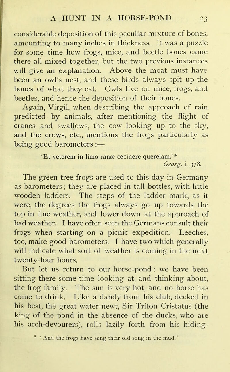 considerable deposition of this peculiar mixture of bones, amounting to many inches in thickness. It was a puzzle for some time how frogs, mice, and beetle bones came there all mixed together, but the two previous instances will give an explanation. Above the moat must have been an owl’s nest, and these birds always spit up the bones of what they eat. Owls live on mice, frogs, and beetles, and hence the deposition of their bones. Again, Virgil, when describing the approach of rain predicted by animals, after mentioning the flight of cranes and swallows, the cow looking up to the sky, and the crows, etc., mentions the frogs particularly as being good barometers :— ‘Et veterem in limo ranas cecinere querelam.’* Georg, i. 378. The green tree-frogs are used to this day in Germany as barometers; they are placed in tall bottles, with little wooden ladders. The steps of the ladder mark, as it were, the degrees the frogs always go up towards the top in fine weather, and lower down at the approach of bad weather. I have often seen the Germans consult their frogs when starting on a picnic expedition. Leeches, too, make good barometers. I have two which generally will indicate what sort of weather is coming in the next twenty-four hours. But let us return to our horse-pond : we have been sitting there some time looking at, and thinking about, the frog family. The sun is very hot, and no horse has come to drink. Like a dandy from his club, decked in his best, the great water-newt, Sir Triton Cristatus (the king of the pond in the absence of the ducks, who are his arch-devourers), rolls lazily forth from his hiding- * ‘ And the frogs have sung their old song in the mud.1
