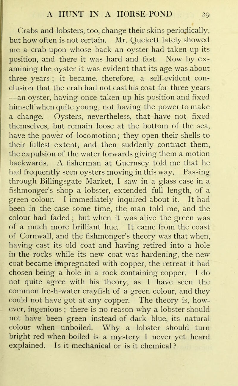 Crabs and lobsters, too, change their skins periodically, but how often is not certain. Mr. Quekett lately showed me a crab upon whose back an oyster had taken up its position, and there it was hard and fast. Now by ex- amining the oyster it was evident that its age was about three years ; it became, therefore, a self-evident con- clusion that the crab had not cast his coat for three years —an oyster, having once taken up his position and fixed himself when quite young, not having the power to make a change. Oysters, nevertheless, that have not fixed themselves, but remain loose at the bottom of the sea, have the power of locomotion; they open their shells to their fullest extent, and then suddenly contract them, the expulsion of the water forwards giving them a motion backwards. A fisherman at Guernsey told me that he had frequently seen oysters moving in this way. Passing through Billingsgate Market, I saw in a glass case in a fishmonger’s shop a lobster, extended full length, of a green colour. I immediately inquired about it. It had been in the case some time, the man told me, and the colour had faded ; but when it was alive the green was of a much more brilliant hue. It came from the coast of Cornwall, and the fishmonger’s theory was that when, having cast its old coat and having retired into a hole in the rocks while its new coat was hardening, the new coat became impregnated with copper, the retreat it had chosen being a hole in a rock containing copper. I do not quite agree with his theory, as I have seen the common fresh-water crayfish of a green colour, and they could not have got at any copper. The theory is, how- ever, ingenious ; there is no reason why a lobster should not have been green instead of dark blue, its natural colour when unboiled. Why a lobster should turn bright red when boiled is a mystery I never yet heard explained. Is it mechanical or is it chemical?