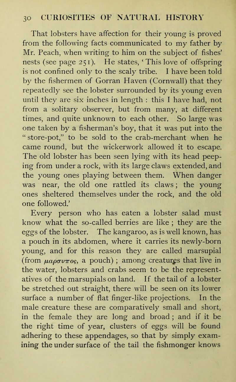 That lobsters have affection for their young is proved from the following facts communicated to my father by Mr. Peach, when writing to him on the subject of fishes’ nests (see page 251). He states, ‘ This love of offspring is not confined only to the scaly tribe. I have been told by the fishermen of Gorran Haven (Cornwall) that they repeatedly see the lobster surrounded by its young even until they are six inches in length : this I have had, not from a solitary observer, but from many, at different times, and quite unknown to each other. So large was one taken by a fisherman’s boy, that it was put into the “ store-pot,” to be sold to the crab-merchant when he came round, but the wickerwork allowed it to escape. The old lobster has been seen lying with its head peep- ing from under a rock, with its large claws extended, and the young ones playing between them. When danger was near, the old one rattled its claws; the young ones sheltered themselves under the rock, and the old one followed.’ Every person who has eaten a lobster salad must know what the so-called berries are like ; they are the eggs of the lobster. The kangaroo, as is well known, has a pouch in its abdomen, where it carries its newly-born young, and for this reason they are called marsupial (from /uLap<TV7rog, a pouch) ; among creaturps that live in the water, lobsters and crabs seem to be the represent- atives of the marsupials on land. If the tail of a lobster be stretched out straight, there will be seen on its lower surface a number of flat finger-like projections. In the male creature these are comparatively small and short, in the female they are long and broad ; and if it be the right time of year, clusters of eggs will be found adhering to these appendages, so that by simply exam- ining the under surface of the tail the fishmonger knows