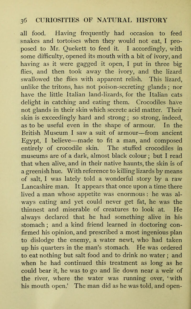 all food. Having frequently had occasion to feed snakes and tortoises when they would not eat, I pro- posed to Mr. Quekett to feed it. I accordingly, with some difficulty, opened its mouth with a bit of ivory, and having as it were gagged it open, I put in three big flies, and then took away the ivory, and the lizard swallowed the flies with apparent relish. This lizard, unlike the tritons, has not poison-secreting glands ; nor have the little Italian land-lizards, for the Italian cats delight in catching and eating them. Crocodiles have not glands in their skin which secrete acid matter. Their skin is exceedingly hard and strong; so strong, indeed, as to be useful even in the shape of armour. In the British Museum I saw a suit of armour—from ancient Egypt, I believe—made to fit a man, and composed entirely of crocodile skin. The stuffed crocodiles in museums are of a dark, almost black colour; but I read that when alive, and in their native haunts, the skin is of a greenish hue. With reference to killing lizards by means of salt, I was lately told a wonderful story by a raw Lancashire man. It appears that once upon a time there lived a man whose appetite was enormous : he was al- ways eating and yet could never get fat, he was the thinnest and miserable of creatures to look at. He always declared that he had something alive in his stomach ; and a kind friend learned in doctoring con- firmed his opinion, and prescribed a most ingenious plan to dislodge the enemy, a water newt, who had taken up his quarters in the man’s stomach. He was ordered to eat nothing but salt food and to drink no water ; and when he had continued this treatment as long as he could bear it, he was to go and lie down near a weir of the river, where the water was running over, ‘with his mouth open.’ The man did as he was told, and open-