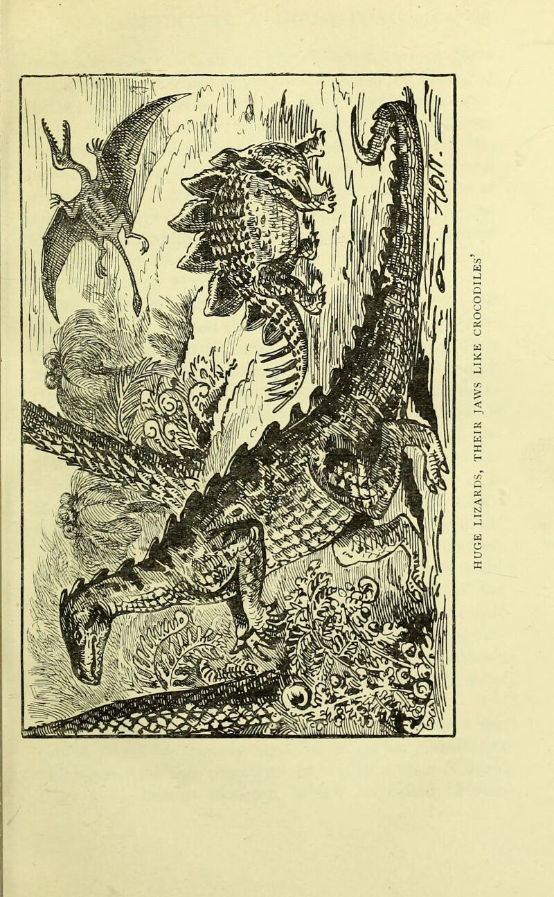 HUGE LIZARDS, THEIR JAWS LIKE CROCODILES