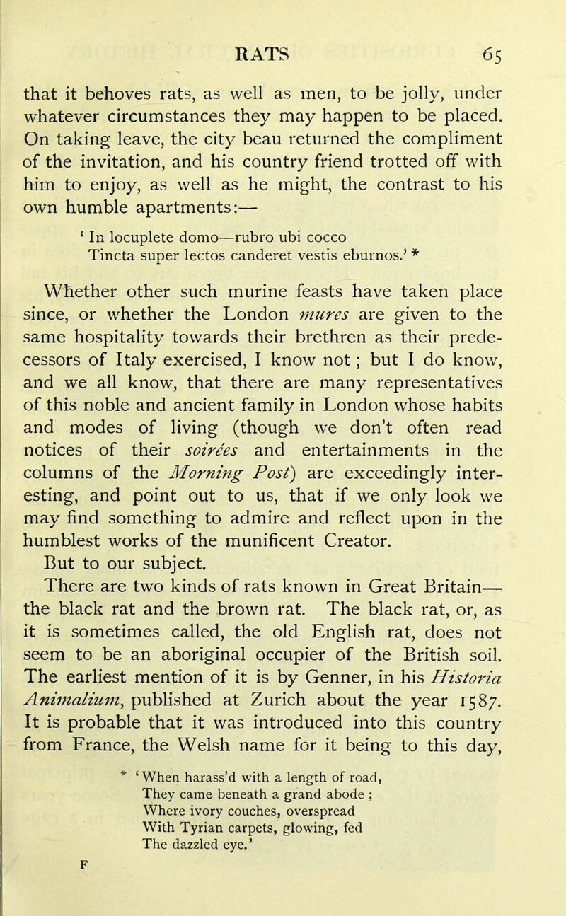 that it behoves rats, as well as men, to be jolly, under whatever circumstances they may happen to be placed. On taking leave, the city beau returned the compliment of the invitation, and his country friend trotted off with him to enjoy, as well as he might, the contrast to his own humble apartments:— ‘ In locuplete domo—rubro ubi cocco Tincta super lectos canderet vestis eburnos.’ * Whether other such murine feasts have taken place since, or whether the London mures are given to the same hospitality towards their brethren as their prede- cessors of Italy exercised, I know not; but I do know, and we all know, that there are many representatives of this noble and ancient family in London whose habits and modes of living (though we don’t often read notices of their soirees and entertainments in the columns of the Morning Post) are exceedingly inter- esting, and point out to us, that if we only look we may find something to admire and reflect upon in the humblest works of the munificent Creator. But to our subject. There are two kinds of rats known in Great Britain— the black rat and the brown rat. The black rat, or, as it is sometimes called, the old English rat, does not seem to be an aboriginal occupier of the British soil. The earliest mention of it is by Genner, in his Historia Animalium, published at Zurich about the year 1587. It is probable that it was introduced into this country from France, the Welsh name for it being to this day, * ‘ When harass’d with a length of road, They came beneath a grand abode ; Where ivory couches, overspread With Tyrian carpets, glowing, fed The dazzled eye.’ F