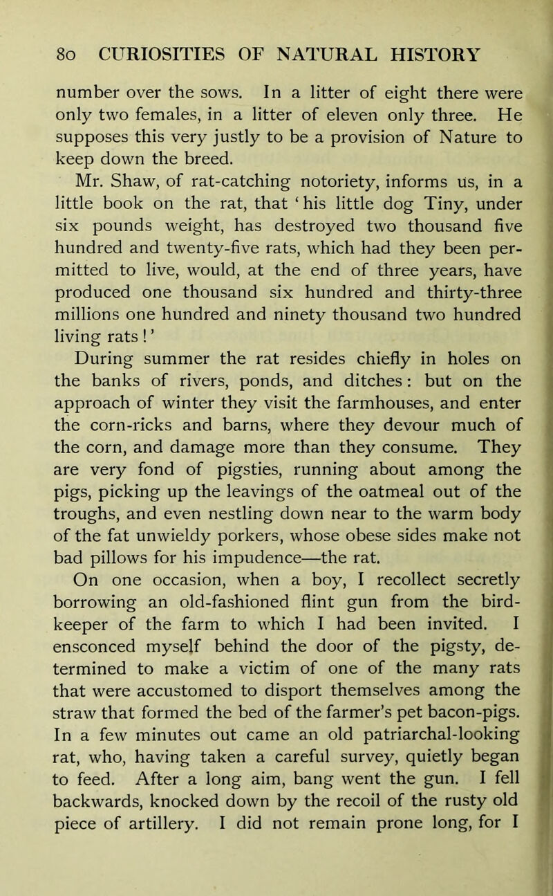 number over the sows. In a litter of eight there were only two females, in a litter of eleven only three. He supposes this very justly to be a provision of Nature to keep down the breed. Mr. Shaw, of rat-catching notoriety, informs us, in a little book on the rat, that ‘ his little dog Tiny, under six pounds weight, has destroyed two thousand five hundred and twenty-five rats, which had they been per- mitted to live, would, at the end of three years, have produced one thousand six hundred and thirty-three millions one hundred and ninety thousand two hundred living rats ! ’ During summer the rat resides chiefly in holes on the banks of rivers, ponds, and ditches: but on the approach of winter they visit the farmhouses, and enter the corn-ricks and barns, where they devour much of the corn, and damage more than they consume. They are very fond of pigsties, running about among the pigs, picking up the leavings of the oatmeal out of the troughs, and even nestling down near to the warm body of the fat unwieldy porkers, whose obese sides make not bad pillows for his impudence—the rat. On one occasion, when a boy, I recollect secretly borrowing an old-fashioned flint gun from the bird- keeper of the farm to which I had been invited. I ensconced myself behind the door of the pigsty, de- termined to make a victim of one of the many rats that were accustomed to disport themselves among the straw that formed the bed of the farmer’s pet bacon-pigs. In a few minutes out came an old patriarchal-looking rat, who, having taken a careful survey, quietly began to feed. After a long aim, bang went the gun. I fell backwards, knocked down by the recoil of the rusty old piece of artillery. I did not remain prone long, for I