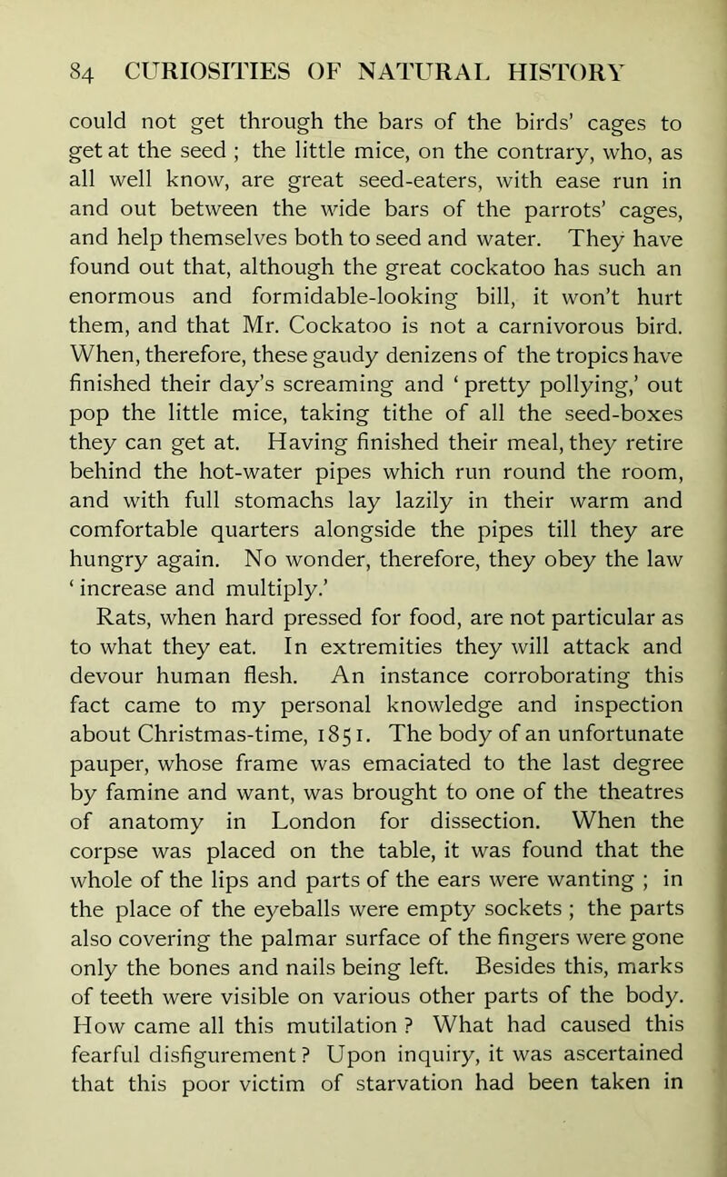 could not get through the bars of the birds’ cages to get at the seed ; the little mice, on the contrary, who, as all well know, are great seed-eaters, with ease run in and out between the wide bars of the parrots’ cages, and help themselves both to seed and water. They have found out that, although the great cockatoo has such an enormous and formidable-looking bill, it won’t hurt them, and that Mr. Cockatoo is not a carnivorous bird. When, therefore, these gaudy denizens of the tropics have finished their day’s screaming and ‘ pretty pollying,’ out pop the little mice, taking tithe of all the seed-boxes they can get at. Having finished their meal, they retire behind the hot-water pipes which run round the room, and with full stomachs lay lazily in their warm and comfortable quarters alongside the pipes till they are hungry again. No wonder, therefore, they obey the law ‘ increase and multiply.’ Rats, when hard pressed for food, are not particular as to what they eat. In extremities they will attack and devour human flesh. An instance corroborating this fact came to my personal knowledge and inspection about Christmas-time, 1851. The body of an unfortunate pauper, whose frame was emaciated to the last degree by famine and want, was brought to one of the theatres of anatomy in London for dissection. When the corpse was placed on the table, it was found that the whole of the lips and parts of the ears were wanting ; in the place of the eyeballs were empty sockets ; the parts also covering the palmar surface of the fingers were gone only the bones and nails being left. Besides this, marks of teeth were visible on various other parts of the body. How came all this mutilation ? What had caused this fearful disfigurement? Upon inquiry, it was ascertained that this poor victim of starvation had been taken in