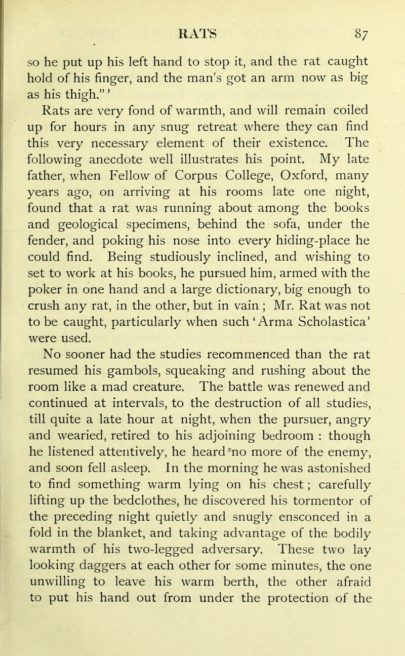 so he put up his left hand to stop it, and the rat caught hold of his finger, and the man’s got an arm now as big as his thigh.” ’ Rats are very fond of warmth, and will remain coiled up for hours in any snug retreat where they can find this very necessary element of their existence. The following anecdote well illustrates his point. My late father, when Fellow of Corpus College, Oxford, many years ago, on arriving at his rooms late one night, found that a rat was running about among the books and geological specimens, behind the sofa, under the fender, and poking his nose into every hiding-place he could find. Being studiously inclined, and wishing to set to work at his books, he pursued him, armed with the poker in one hand and a large dictionary, big enough to crush any rat, in the other, but in vain ; Mr. Rat was not to be caught, particularly when such ‘ Arma Scholastica’ were used. No sooner had the studies recommenced than the rat resumed his gambols, squeaking and rushing about the room like a mad creature. The battle was renewed and continued at intervals, to the destruction of all studies, till quite a late hour at night, when the pursuer, angry and wearied, retired to his adjoining bedroom : though he listened attentively, he heard no more of the enemy, and soon fell asleep. In the morning he was astonished to find something warm lying on his chest; carefully lifting up the bedclothes, he discovered his tormentor of the preceding night quietly and snugly ensconced in a fold in the blanket, and taking advantage of the bodily warmth of his two-legged adversary. These two lay looking daggers at each other for some minutes, the one unwilling to leave his warm berth, the other afraid to put his hand out from under the protection of the