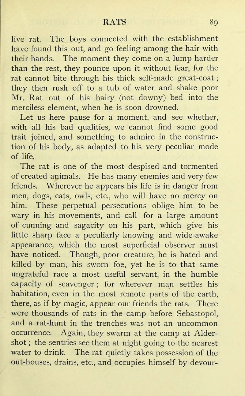 live rat. The boys connected with the establishment have found this out, and go feeling among the hair with their hands. The moment they come on a lump harder than the rest, they pounce upon it without fear, for the rat cannot bite through his thick self-made great-coat; they then rush off to a tub of water and shake poor Mr. Rat out of his hairy (not downy) bed into the merciless element, when he is soon drowned. Let us here pause for a moment, and see whether, with all his bad qualities, we cannot find some good trait joined, and something to admire in the construc- tion of his body, as adapted to his very peculiar mode of life. The rat is one of the most despised and tormented of created animals. He has many enemies and very few friends. Wherever he appears his life is in danger from men, dogs, cats, owls, etc., who will have no mercy on him. These perpetual persecutions oblige him to be wary in his movements, and call for a large amount of cunning and sagacity on his part, which give his little sharp face a peculiarly knowing and wide-awake appearance, which the most superficial observer must have noticed. Though, poor creature, he is hated and killed by man, his sworn foe, yet he is to that same ungrateful race a most useful servant, in the humble capacity of scavenger ; for wherever man settles his habitation, even in the most remote parts of the earth, there, as if by magic, appear our friends the rats. There were thousands of rats in the camp before Sebastopol, and a rat-hunt in the trenches was not an uncommon occurrence. Again, they swarm at the camp at Aider- shot ; the sentries see them at night going to the nearest water to drink. The rat quietly takes possession of the out-houses, drains, etc., and occupies himself by devour-