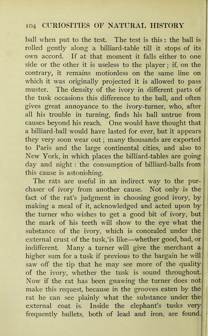 ball when put to the test. The test is this : the ball is rolled gently along a billiard-table till it stops of its own accord. If at that moment it falls either to one side or the other it is useless to the player ; if, on the contrary, it remains motionless on the same line on which it was originally projected it is allowed to pass muster. The density of the ivory in different parts of the tusk occasions this difference to the ball, and often gives great annoyance to the ivory-turner, who, after all his trouble in turning, finds his ball untrue from causes beyond his reach. One would have thought that a billiard-ball would have lasted for ever, but it appears they very soon wear out; many thousands are exported to Paris and the large continental cities, and also to New York, in which places the billiard-tables are going day and night : the consumption of billiard-balls from this cause is astonishing. The rats are useful in an indirect way to the pur- chaser of ivory from another cause. Not only is the fact of the rat’s judgment in choosing good ivory, by making a meal of it, acknowledged and acted upon by the turner who wishes to get a good bit of ivory, but the mark of his teeth will show to the eye what the substance of the ivory, which is concealed under the external crust of the tusk,'is like—whether good, bad, or indifferent. Many a turner will give the merchant a higher sum for a tusk if previous to the bargain he will saw off the tip that he may see more of the quality of the ivory, whether the tusk is sound throughout. Now if the rat has been gnawing the turner does not make this request, because in the grooves eaten by the rat he can see plainly what the substance under the external coat is. Inside the elephant’s tusks very frequently bullets, both of lead and iron, are found.
