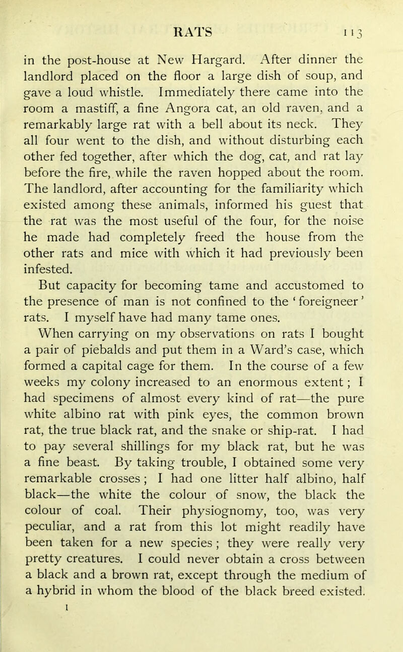 in the post-house at New Hargard. After dinner the landlord placed on the floor a large dish of soup, and gave a loud whistle. Immediately there came into the room a mastiff, a fine Angora cat, an old raven, and a remarkably large rat with a bell about its neck. They all four went to the dish, and without disturbing each other fed together, after which the dog, cat, and rat lay before the fire, while the raven hopped about the room. The landlord, after accounting for the familiarity which existed among these animals, informed his guest that the rat was the most useful of the four, for the noise he made had completely freed the house from the other rats and mice with which it had previously been infested. But capacity for becoming tame and accustomed to the presence of man is not confined to the ‘ foreigneer ’ rats. I myself have had many tame ones. When carrying on my observations on rats I bought a pair of piebalds and put them in a Ward’s case, which formed a capital cage for them. In the course of a few weeks my colony increased to an enormous extent; I had specimens of almost every kind of rat—the pure white albino rat with pink eyes, the common brown rat, the true black rat, and the snake or ship-rat. I had to pay several shillings for my black rat, but he was a fine beast. By taking trouble, I obtained some very remarkable crosses; I had one litter half albino, half black—the white the colour of snow, the black the colour of coal. Their physiognomy, too, was very peculiar, and a rat from this lot might readily have been taken for a new species; they were really very pretty creatures. I could never obtain a cross between a black and a brown rat, except through the medium of a hybrid in whom the blood of the black breed existed. 1