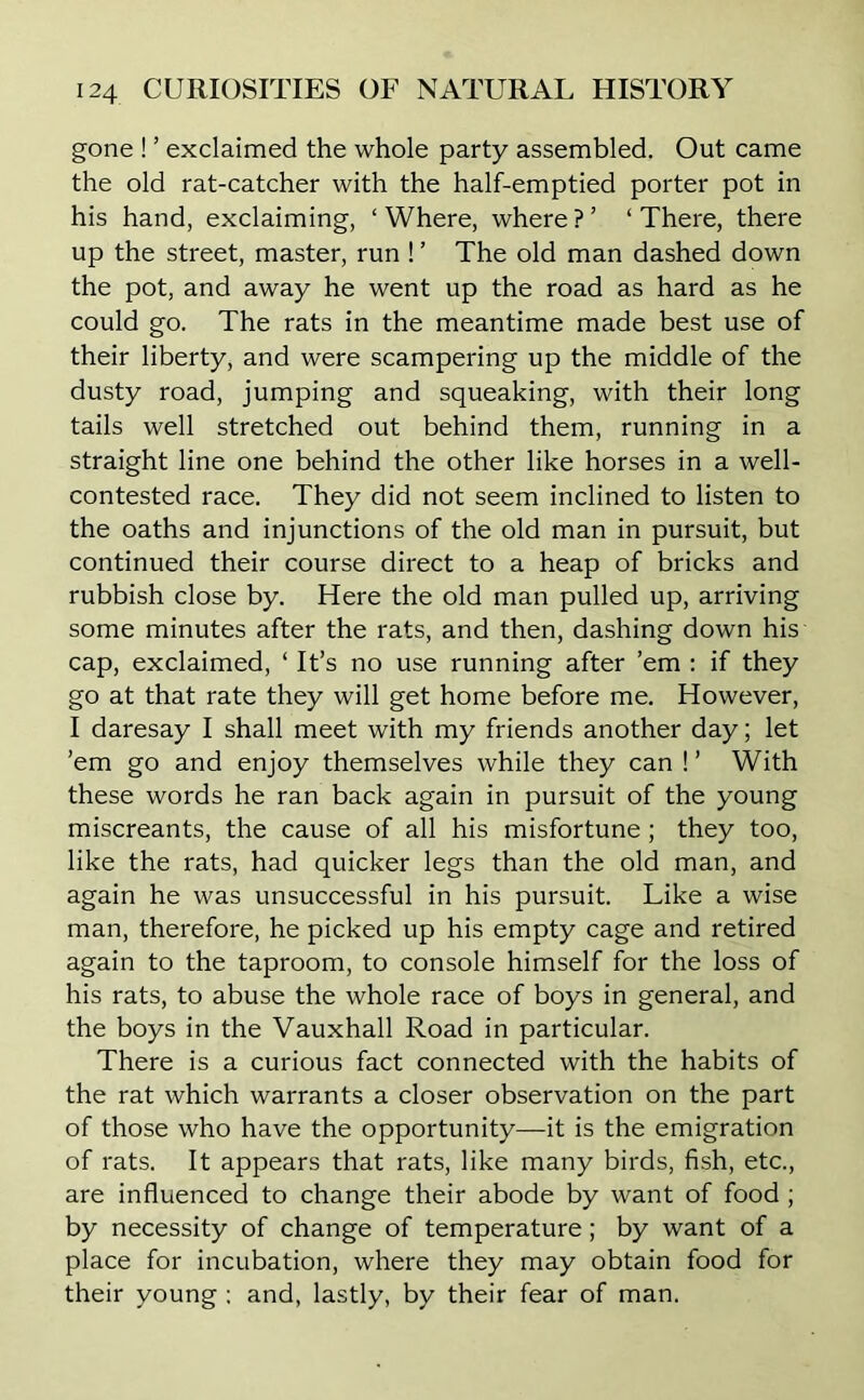 gone ! ’ exclaimed the whole party assembled. Out came the old rat-catcher with the half-emptied porter pot in his hand, exclaiming, ‘Where, where?’ ‘There, there up the street, master, run ! ’ The old man dashed down the pot, and away he went up the road as hard as he could go. The rats in the meantime made best use of their liberty, and were scampering up the middle of the dusty road, jumping and squeaking, with their long tails well stretched out behind them, running in a straight line one behind the other like horses in a well- contested race. They did not seem inclined to listen to the oaths and injunctions of the old man in pursuit, but continued their course direct to a heap of bricks and rubbish close by. Here the old man pulled up, arriving some minutes after the rats, and then, dashing down his cap, exclaimed, 1 It’s no use running after ’em : if they go at that rate they will get home before me. However, I daresay I shall meet with my friends another day; let ’em go and enjoy themselves while they can !’ With these words he ran back again in pursuit of the young miscreants, the cause of all his misfortune; they too, like the rats, had quicker legs than the old man, and again he was unsuccessful in his pursuit. Like a wise man, therefore, he picked up his empty cage and retired again to the taproom, to console himself for the loss of his rats, to abuse the whole race of boys in general, and the boys in the Vauxhall Road in particular. There is a curious fact connected with the habits of the rat which warrants a closer observation on the part of those who have the opportunity—it is the emigration of rats. It appears that rats, like many birds, fish, etc., are influenced to change their abode by want of food ; by necessity of change of temperature; by want of a place for incubation, where they may obtain food for their young ; and, lastly, by their fear of man.