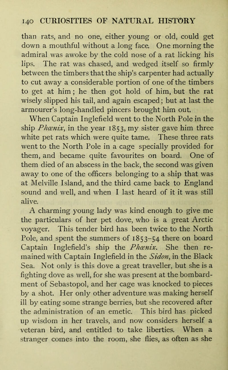 than rats, and no one, either young or old, could get down a mouthful without a long face. One morning the admiral was awoke by the cold nose of a rat licking his lips. The rat was chased, and wedged itself so firmly between the timbers that the ship’s carpenter had actually to cut away a considerable portion of one of the timbers to get at him; he then got hold of him, but the rat wisely slipped his tail, and again escaped; but at last the armourer’s long-handled pincers brought him out. When Captain Inglefield went to the North Pole in the ship Phoenix, in the year 1853, my sister gave him three white pet rats which were quite tame. These three rats went to the North Pole in a cage specially provided for them, and became quite favourites on board. One of them died of an abscess in the back, the second was given away to one of the officers belonging to a ship that was at Melville Island, and the third came back to England sound and well, and when I last heard of it it was still alive. A charming young lady was kind enough to give me the particulars of her pet dove, who is a great Arctic voyager. This tender bird has been twice to the North Pole, and spent the summers of 1853-54 there on board Captain Inglefield’s ship the Phoenix. She then re- mained with Captain Inglefield in the Sidon, in the Black Sea. Not only is this dove a great traveller, but she is a fighting dove as well, for she was present at the bombard- ment of Sebastopol, and her cage was knocked to pieces by a shot. Her only other adventure was making herself ill by eating some strange berries, but she recovered after the administration of an emetic. This bird has picked up wisdom in her travels, and now considers herself a veteran bird, and entitled to take liberties. When a stranger comes into the room, she flies, as often as she