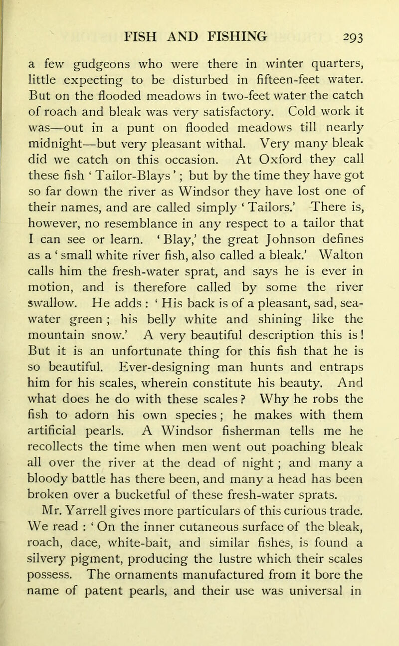 a few gudgeons who were there in winter quarters, little expecting to be disturbed in fifteen-feet water. But on the flooded meadows in two-feet water the catch of roach and bleak was very satisfactory. Cold work it was—out in a punt on flooded meadows till nearly midnight—but very pleasant withal. Very many bleak did we catch on this occasion. At Oxford they call these fish ‘ Tailor-Blays ’; but by the time they have got so far down the river as Windsor they have lost one of their names, and are called simply ‘ Tailors.’ There is, however, no resemblance in any respect to a tailor that I can see or learn. ‘ Blay,’ the great Johnson defines as a ‘ small white river fish, also called a bleak.’ Walton calls him the fresh-water sprat, and says he is ever in motion, and is therefore called by some the river swallow. He adds : ‘ His back is of a pleasant, sad, sea- water green ; his belly white and shining like the mountain snow.’ A very beautiful description this is! But it is an unfortunate thing for this fish that he is so beautiful. Ever-designing man hunts and entraps him for his scales, wherein constitute his beauty. And what does he do with these scales ? Why he robs the fish to adorn his own species; he makes with them artificial pearls. A Windsor fisherman tells me he recollects the time when men went out poaching bleak all over the river at the dead of night ; and many a bloody battle has there been, and many a head has been broken over a bucketful of these fresh-water sprats. Mr. Yarrell gives more particulars of this curious trade. We read : ‘ On the inner cutaneous surface of the bleak, roach, dace, white-bait, and similar fishes, is found a silvery pigment, producing the lustre which their scales possess. The ornaments manufactured from it bore the name of patent pearls, and their use was universal in