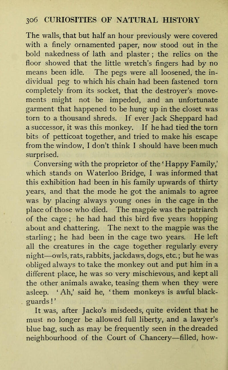 The walls, that but half an hour previously were covered with a finely ornamented paper, now stood out in the bold nakedness of lath and plaster; the relics on the floor showed that the little wretch’s fingers had by no means been idle. The pegs were all loosened, the in- dividual peg to which his chain had been fastened torn completely from its socket, that the destroyer’s move- ments might not be impeded, and an unfortunate garment that happened to be hung up in the closet was torn to a thousand shreds. If ever Jack Sheppard had a successor, it was this monkey. If he had tied the torn bits of petticoat together, and tried to make his escape from the window, I don’t think I should have been much surprised. Conversing with the proprietor of the ‘Happy Family,’ which stands on Waterloo Bridge, I was informed that this exhibition had been in his family upwards of thirty years, and that the mode he got the animals to agree was by placing always young ones in the cage in the place of those who died. The magpie was the patriarch of the cage ; he had had this bird five years hopping about and chattering. The next to the magpie was the starling; he had been in the cage two years. He left all the creatures in the cage together regularly every night—owls, rats, rabbits, jackdaws, dogs, etc.; but he was obliged always to take the monkey out and put him in a different place, he was so very mischievous, and kept all the other animals awake, teasing them when they were asleep. ‘ Ah,’ said he, ‘ them monkeys is awful black- guards ! ’ It was, after Jacko’s misdeeds, quite evident that he must no longer be allowed full liberty, and a lawyer’s blue bag, such as may be frequently seen in the dreaded neighbourhood of the Court of Chancery—filled, how-