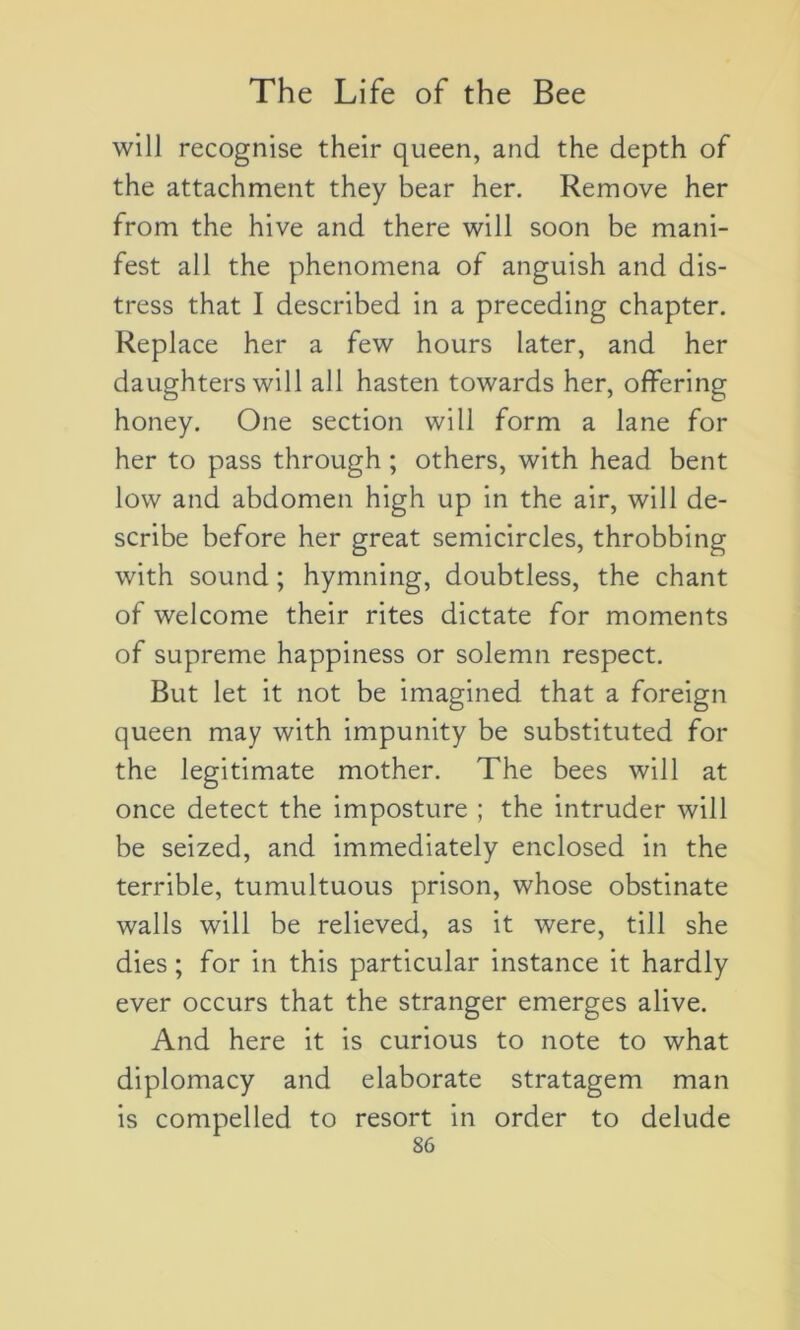 will recognise their queen, and the depth of the attachment they bear her. Remove her from the hive and there will soon be mani- fest ail the phenomena of anguish and dis- tress that I described in a preceding chapter. Replace her a few hours later, and her daughters will ail hasten towards her, offering honey. One section will form a lane for her to pass through ; others, with head bent low and abdomen high up in the air, will de- scribe before her great semicircles, throbbing with sound ; hymning, doubtless, the chant of welcome their rites dictate for moments of suprême happiness or solemn respect. But let it not be imagined that a foreign queen may with impunity be substituted for the legitimate mother. The bees will at once detect the imposture ; the intruder will be seized, and immediately enclosed in the terrible, tumultuous prison, whose obstinate walls will be relieved, as it were, till she dies ; for in this particular instance it hardly ever occurs that the stranger emerges alive. And here it is curious to note to what diplomacy and elaborate stratagem man is compelled to resort in order to delude