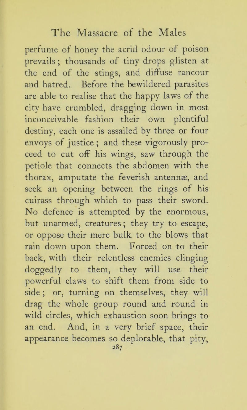 perfume of honey the acrid odour of poison prevails ; thousands of tiny drops glisten at the end of the stings, and diffuse rancour and hatred. Before the bewildered parasites are able to réalisé that the happy laws of the city hâve crumbled, dragging down in most inconceivable fashion their own plentiful destiny, each one is assailed by three or four envoys of justice ; and these vigorously pro- ceed to eut off his wings, saw through the petiole that connects the abdomen with the thorax, amputate the feverish antennæ, and seek an opening between the rings of his cuirass through which to pass their sword. No defence is attempted by the enormous, but unarmed, créatures ; they try to escape, or oppose their mere bulk to the blows that rain down upon them. Forced on to their back, with their relentless enemies clinging doggedly to them, they will use their powerful claws to shift them from side to side ; or, turning on themselves, they will drag the whole group round and round in wild circles, which exhaustion soon brings to an end. And, in a very brief space, their appearance becomes so déplorable, that pity,