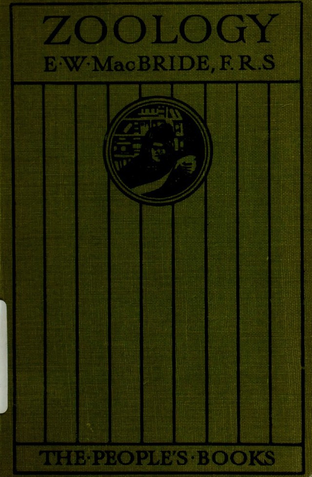 No text description is available for this image