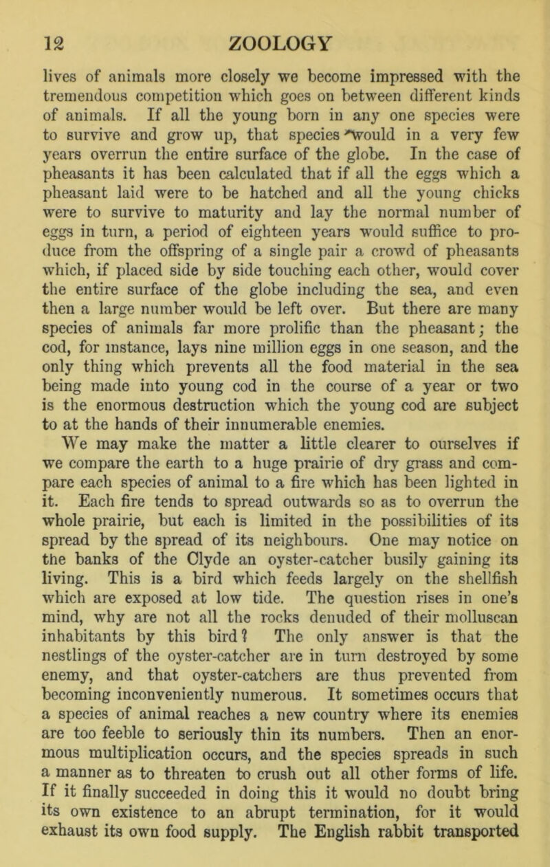 lives of animals more closely we become impressed with the tremendous competition which goes on between different kinds of animals. If all the young born in any one species were to survive and grow up, that species 'would in a very few years overrun the entire surface of the globe. In the case of pheasants it has been calculated that if all the eggs which a pheasant laid were to be hatched and all the young chicks were to survive to maturity and lay the normal number of eggs in turn, a period of eighteen years would suffice to pro- duce from the offspring of a single pair a crowd of pheasants which, if placed side by side touching each other, would cover the entire surface of the globe including the sea, and even then a large number would be left over. But there are many species of animals far more prolific than the pheasant; the cod, for instance, lays nine million eggs in one season, and the only thing which prevents all the food material in the sea being made into young cod in the course of a year or two is the enormous destruction which the young cod are subject to at the hands of their innumerable enemies. We may make the matter a little clearer to ourselves if we compare the earth to a huge prairie of dry grass and com- pare each species of animal to a fire which has been lighted in it. Each fire tends to spread outwards so as to overrun the whole prairie, but each is limited in the possibilities of its spread by the spread of its neighbours. One may notice on the banks of the Clyde an oyster-catcher busily gaining its living. This is a bird which feeds largely on the shellfish which are exposed at low tide. The question rises in one’s mind, why are not all the rocks denuded of their molluscan inhabitants by this bird? The only answer is that the nestlings of the oyster-catcher are in turn destroyed by some enemy, and that oyster-catchers are thus prevented from becoming inconveniently numerous. It sometimes occurs that a species of animal reaches a new country where its enemies are too feeble to seriously thin its numbers. Then an enor- mous multiplication occurs, and the species spreads in such a manner as to threaten to crush out all other forms of life. If it finally succeeded in doing this it would no doubt bring its own existence to an abrupt termination, for it would exhaust its own food supply. The English rabbit transported