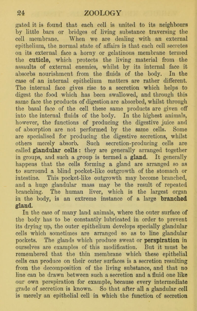 gated it is found that each cell is united to its neighbours by little bars or bridges of living substance traversing the cell membrane. When we are dealing with an external epithelium, the normal state of affairs is that each cell secretes on its external face a horny or gelatinous membrane termed the cuticle, which protects the living material from the assaults of external enemies, whilst by its internal face it absorbs nourishment from the fluids of the body. In the case of an internal epithelium matters are rather different. The internal face gives rise to a secretion which helps to digest the food which has been swallowed, and through this same face the products of digestion are absorbed, whilst through the basal face of the cell these same products are given off into the internal fluids of the body. In the highest animals, however, the functions of producing the digestive juice and of absorption are not performed by the same cells. Some are specialised for producing the digestive secretions, whilst others merely absorb. Such secretion-producing cells are called glandular cells : they are generally arranged together in groups, and such a group is termed a gland. It generally happens that the cells forming a gland are arranged so as to surround a blind pocket-like outgrowth of the stomach or intestine. This pocket-like outgrowth may become branched, and a huge glandular mass may be the result of repeated branching. The human liver, which is the largest organ in the body, is an extreme instance of a large branched gland. In the case of many land animals, where the outer surface of the body has to be constantly lubricated in order to prevent its drying up, the outer epithelium develops specially glandular cells which sometimes are arranged so as to line glandular pockets. The glands which produce sweat or perspiration in ourselves are examples of this modification. But it must be remembered that the thin membrane which these epithelial cells can produce on their outer surfaces is a secretion resulting from the decomposition of the living substance, and that no line can be drawn between such a secretion and a fluid one like our own perspiration for example, because every intermediate grade of secretion is known. So that after all a glandular cell is merely an epithelial cell in which the function of secretion