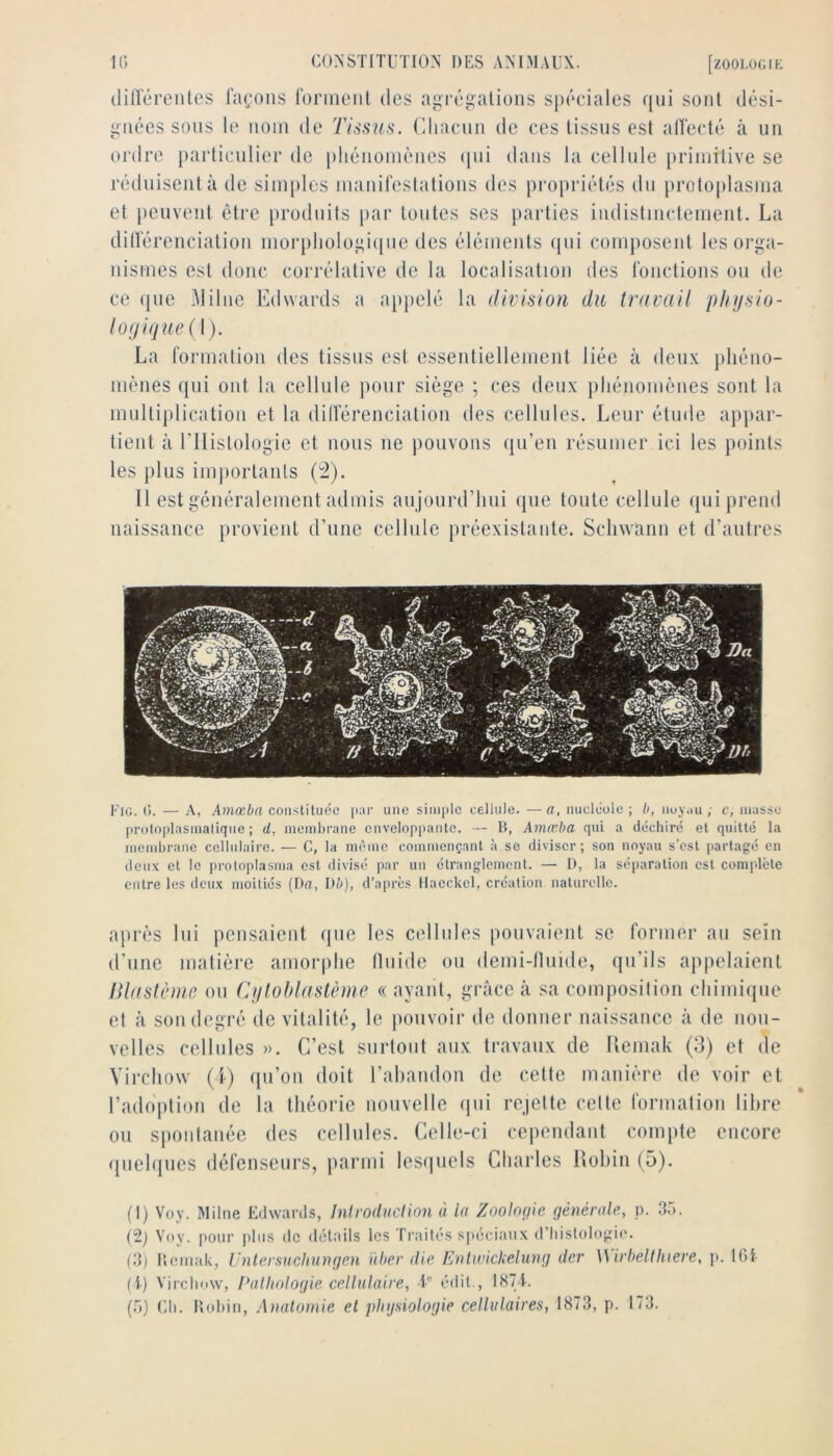 (lilléreiiles façons fonnenl des agrégations spéciales qui sont dési- gnées sons le nom de Tissus. Cliacnn de ces tissus est alfecté à un ordre particulier de pliénoinènes (jui dans la cellule })riinitive se réduisent à de simples manifestations des propinétés du proto[)lasma et peuvent être produits j)ar toutes ses parties indistinctement. La dilférenciation morpliologi([iie des éléments qui com})osent les orga- nismes est donc corrélative de la localisation des fonctions ou de ce que i^lilne Edwards a appelé la division du travail pliijsio- loijique(\). La formation des tissus est essentiellement liée à deux phéno- mènes (jiii ont la cellule pour siège ; ces deux phénomènes sont la multiplication et la dilférenciation des cellules. Leur étude appar- tient à rilistologie et nous ne pouvons qu’en résumer ici les points les plus iiujiortants (^). 11 est généralement admis aujourd’hui ipie toute cellule ({ui prend naissance provient d’une cellule préexistante. Schwann et d’autres Fig. (î. — A, Amœba coiistitucc par une simple cellule. —a, nucléole ; b, noyau ; c, masse proloplasmalique ; d, membrane enveloppante. — 13, Amœba qui a déchire et quitté la membrane cellulaire. — C, la même commençant .à se diviser; son noyau s’est partagé en deux et le proloplasma est divisé par un étranglement. — D, la séparation est complète entre les deux moitiés (Da, l)b], d’après Hacckel, création naturelle. après lui pensaient que les cellules pouvaient se former au sein d’une matière amorphe Iluide ou demi-fluide, qu’ils appelaient lUaslème ou Cqloblaslème « ayant, grâce à sa composilion chimique et à son degré de vitalité, le pouvoir tle donner naissance à de nou- velles cellules ». C’est surtout aux travaux de Itemak (3) et de Virchow (i) qu’on doit l’ahandon de cette manière de voir et l’adoption de la théorie nouvelle qui rejette cette formalion libre ou spontanée des cellules. Celle-ci cependant compte encore ({iielques défenseurs, parmi lesquels Charles Itohin (5). (1) Voy. Milne Edwards, JnfroducUon à la Zoolo(jle générale, p. 35. (2) Voy. pour filiis de détails les Traités spéciaux (riiislolog:ie. (3) Hemak, IJnlersuchungen ïiher die Entirickelung der W irbelthiere, p. IGt (t) Vircliow, Pathologie cellulaire, i” édit , 187t.