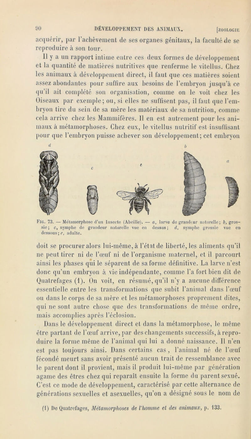 acquérir, par rachèvement de ses organes génitaux, la faculté de se reproduire à son tour. Il y a un rapport intime entre ces deux formes de développement et la quantité de matières nutritives que renferme le vitellus. Chez les animaux à développement direct, il faut que ces matières soient assez abondantes pour suffire aux besoins de l’embryon jusqu’à ce qu’il ait complété son organisation, comme on le voit chez les Oiseaux par exemple; ou, si elles ne suffisent pas, il faut que l’em- bryon tire du sein de sa mère les matériaux de sa nutrition, comme cela arrive chez les Mammifères. Il en est auti’ement pour les ani- maux à métamorphoses. Chez eux, le vitellus nutritif est insuffisant pour que l’embryon puisse achever son développement; cet embryon Fig. 73. —Métamorphose d’im Insecte (Abeille). — a, larve de grandeur naturelle; b, gros- sie ; c, nymphe de grandeur naturelle vue en dessus ; d, nymphe grossie vue en dessous;?, adulte. doit se procurer alors lui-même, à l’état de liberté, les aliments qu’il ne peut tirer ni de l’œuf ni de l’organisme maternel, et il parcourt ainsi les phases qui le séparent de sa forme définitive. La larve n’est donc qu’un embryon à vie indépendante, comme l’a fort bien dit de Quatrefages (1). On voit, en résumé, qu’il n’y a aucune différence essentielle entre les transformations que subit l’animal dans l’œuf ou dans le corps de sa mère et les métamorphoses proprement dites, qui ne sont autre chose que des transformations de môme ordre, mais accomplies après l’éclosion. Dans le développement direct cl dans la métamorphose, le même être partant de l’œuf arrive, par des changements successifs, à repro- duire la forme même de l’animal qui lui a donné naissance. Il n’en est pas toujours ainsi. Dans certains cas , l’animal né de l’œuf fécondé meurt sans avoir présenté aucun trait de ressemblance avec le parent dont il provient, mais il produit lui-même par génération agame des êtres chez qui reparaît ensuite la forme du parent sexué. C’est ce mode de développement, caractérisé par cette alternance de générations sexuelles et asexuelles, qu’on a désigné sous le nom de