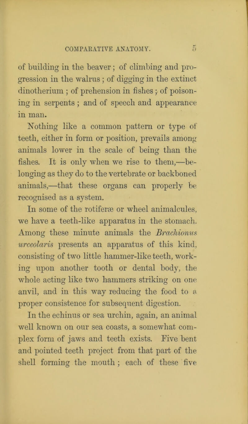 of building in the beaver; of climbing and pro- gression in the walrus ; of digging in the extinct dinotherium ; of prehension in fishes; of poison- ing in serpents ; and of speech and appearance in man. Nothing like a common pattern or type of teeth, either in form or position, prevails among animals lower in the scale of being than the fishes. It is only when we rise to them,—be- longing as they do to the vertebrate or backboned animals,—that these organs can properly be recognised as a system. In some of the rotiferse or wheel animalcules, we have a teeth-like apparatus in the stomach. Among these minute animals the Brachionus urceolaris presents an apparatus of this kind, consisting of two little hammer-like teeth, work- ing upon another tooth or dental body, the whole acting like two hammers striking on one anvil, and in this way reducing the food to a proper consistence for subsequent digestion. In the echinus or sea urchin, again, an animal well known on our sea coasts, a somewhat com- plex form of jaws and teeth exists. Five bent and pointed teeth project from that part of the shell forming the mouth ; each of these five