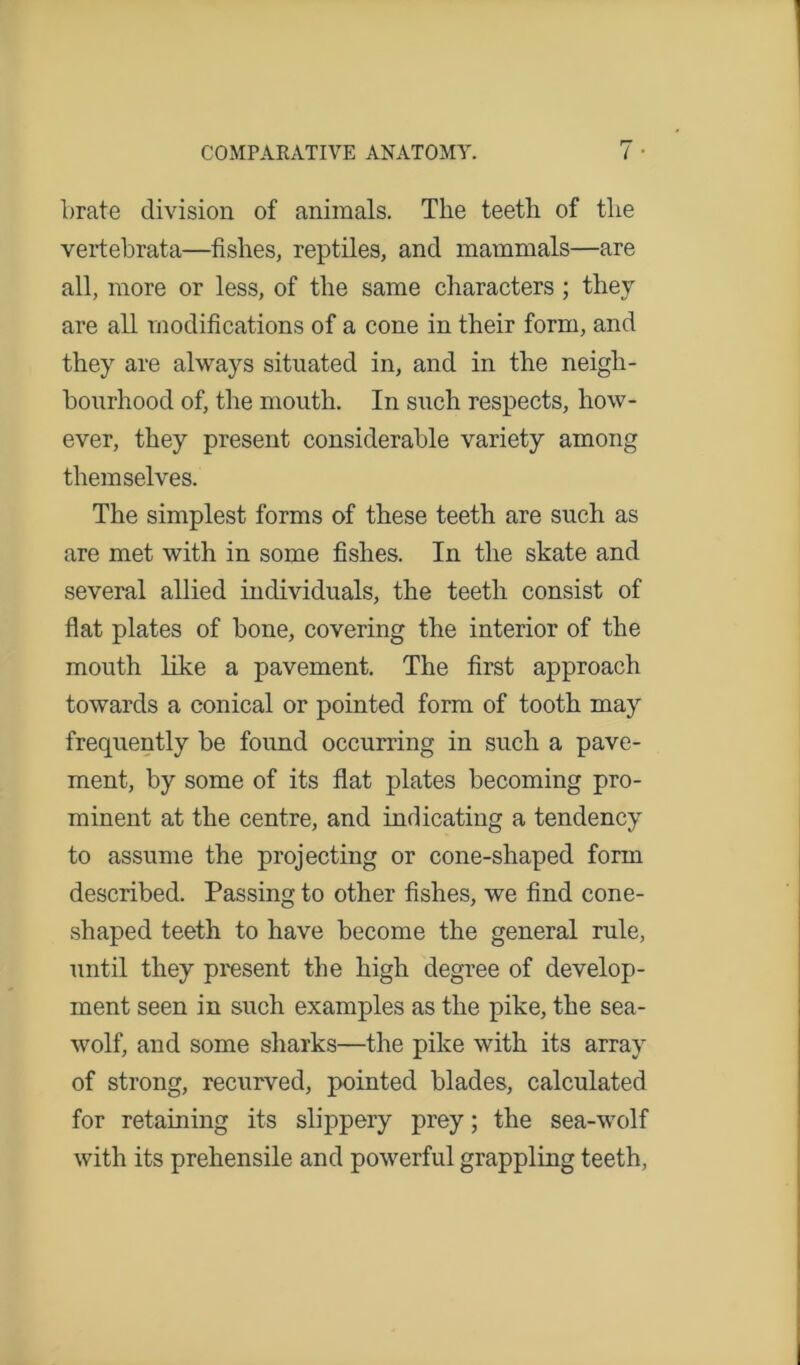 brate division of animals. The teeth of the vertebrata—fishes, reptiles, and mammals—are all, more or less, of the same characters ; they are all modifications of a cone in their form, and they are always situated in, and in the neigh- bourhood of, the mouth. In such respects, how- ever, they present considerable variety among themselves. The simplest forms of these teeth are such as are met with in some fishes. In the skate and several allied individuals, the teeth consist of flat plates of bone, covering the interior of the mouth like a pavement. The first approach towards a conical or pointed form of tooth may frequently be found occurring in such a pave- ment, by some of its flat plates becoming pro- minent at the centre, and indicating a tendency to assume the projecting or cone-shaped form described. Passing to other fishes, we find cone- shaped teeth to have become the general rule, until they present the high degree of develop- ment seen in such examples as the pike, the sea- wolf, and some sharks—the pike with its array of strong, recurved, pointed blades, calculated for retaining its slippery prey; the sea-wolf with its prehensile and powerful grappling teeth,