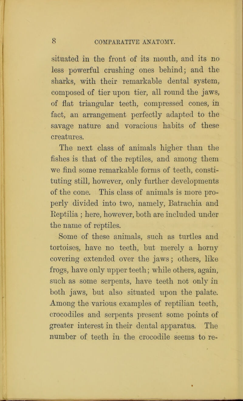 situated in the front of its mouth, and its no less powerful crushing ones behind; and the sharks, with their remarkable dental system, composed of tier upon tier, all round the jaws, of fiat triangular teeth, compressed cones, in fact, an arrangement perfectly adapted to the savage nature and voracious habits of these creatures. The next class of animals higher than the fishes is that of the reptiles, and among them we find some remarkable forms of teeth, consti- tuting still, however, only further developments of the cone. This class of animals is more pro- perly divided into two, namely, Batrachia and Reptilia ; here, however, both are included under the name of reptiles. Some of these animals, such as turtles and tortoises, have no teeth, but merely a horny covering extended over the jaws; others, like frogs, have only upper teeth; while others, again, such as some serpents, have teeth not only in both jaws, but also situated upon the palate. Among the various examples of reptilian teeth, crocodiles and serpents present some points of greater interest in their dental apparatus. The number of teeth in the crocodile seems to re-